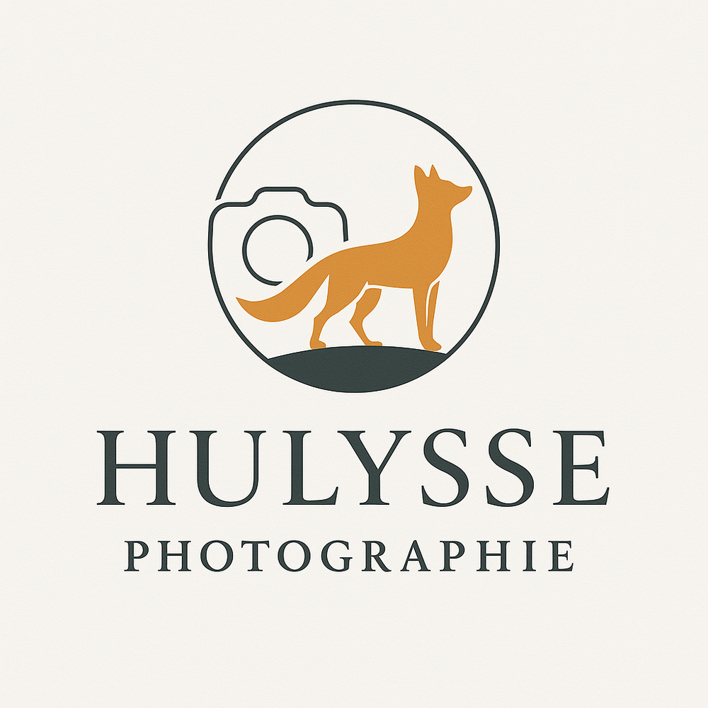 Photography business logo showing a silhouetted fox or coyote inside a minimalist camera lens circle with Hulysse text below.