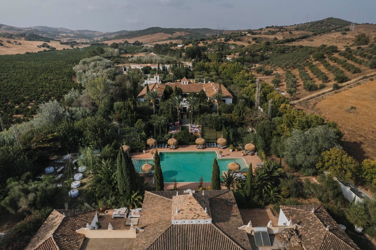 Aerial view of a Mediterranean villa with swimming pool surrounded by olive groves.