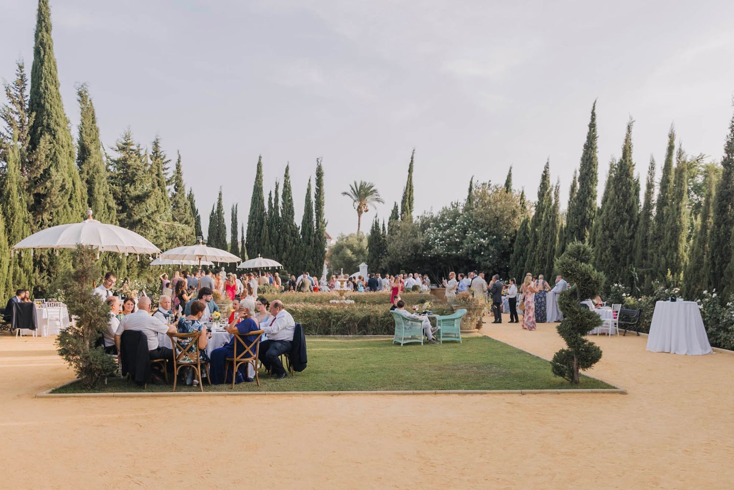 Wide view of an outdoor wedding reception with guests seated under umbrellas among cypress trees.