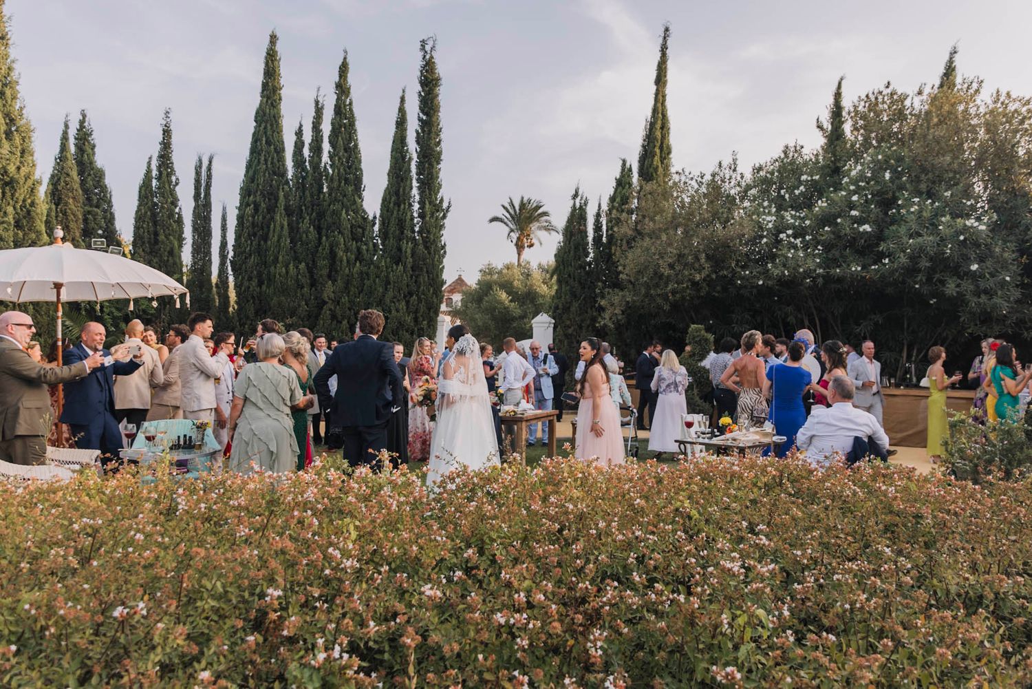Wedding celebration with guests gathered outdoors among cypress trees at sunset.