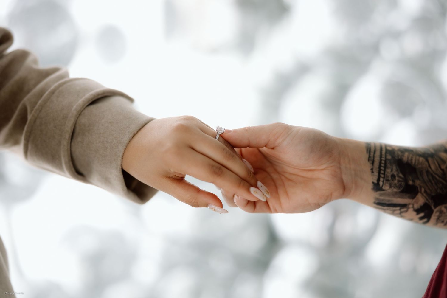 A close-up of two hands gently holding, symbolizing love, connection, and togetherness.