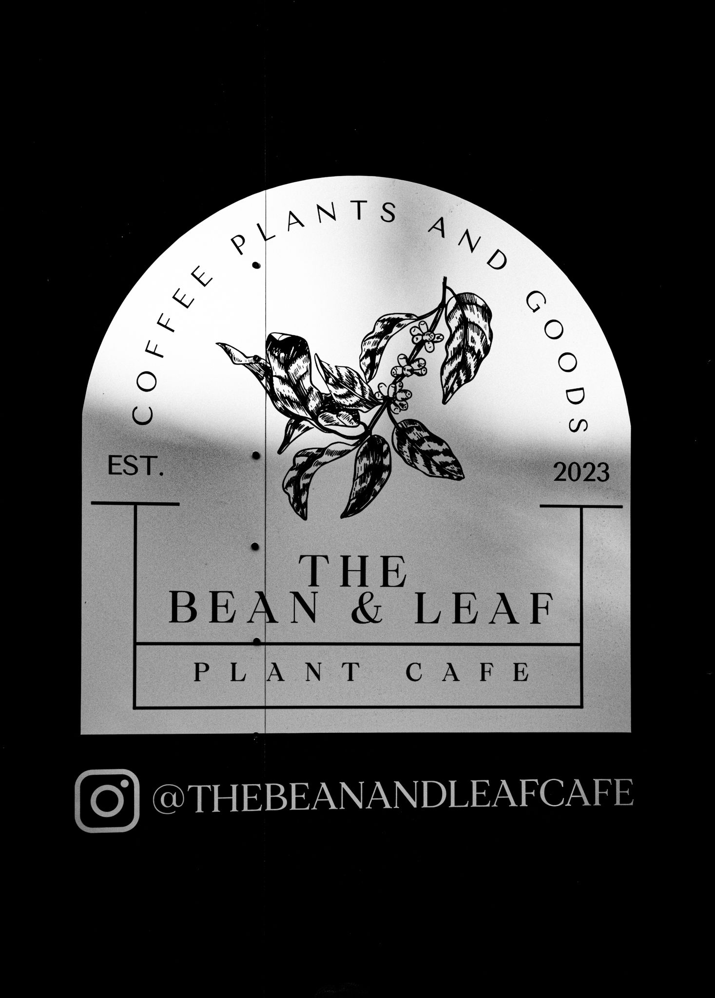 Clean monochrome logo design for The Bean & Leaf Plant Cafe featuring coffee leaf illustration.