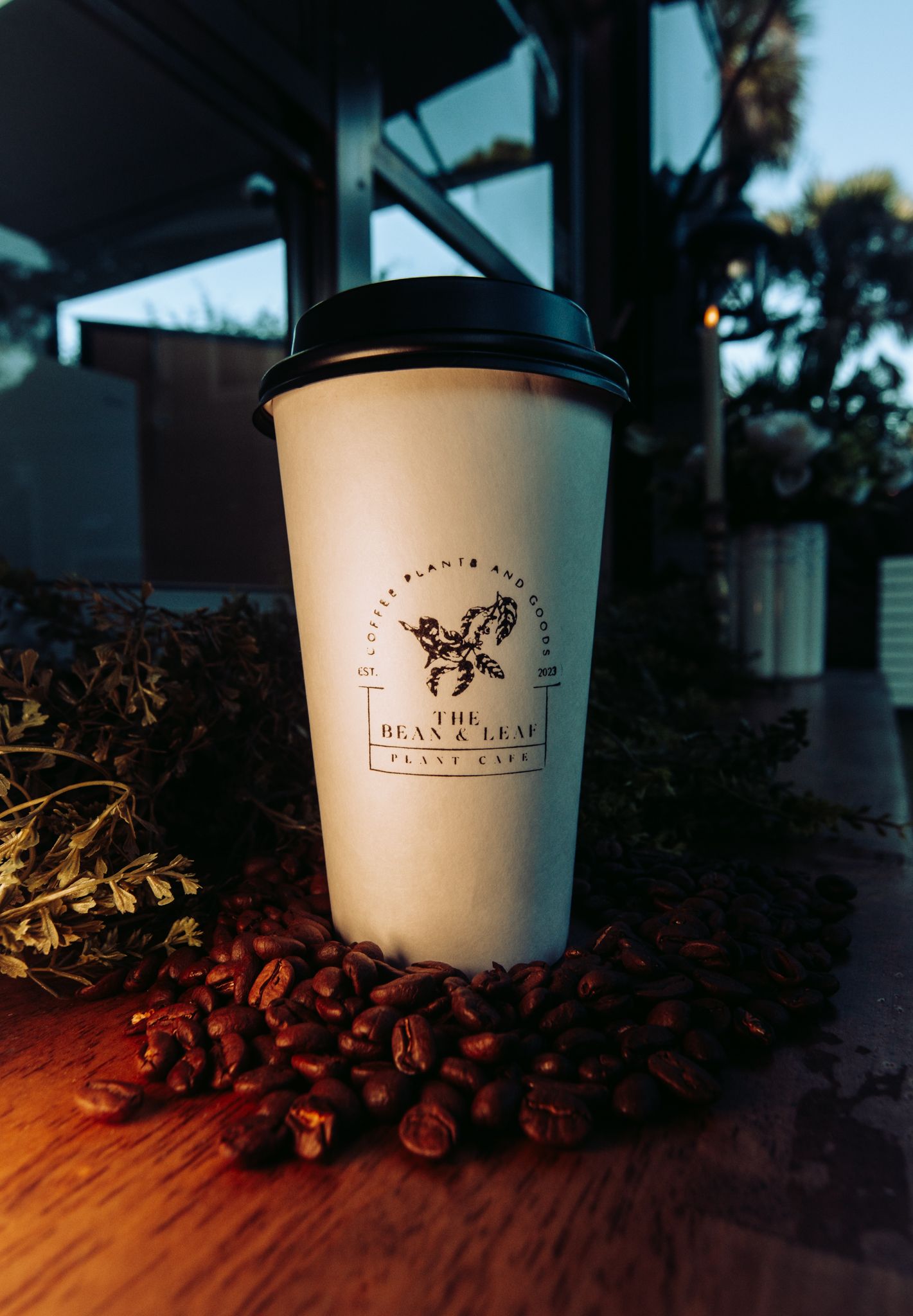 Branded coffee cup surrounded by coffee beans in artistic lighting.