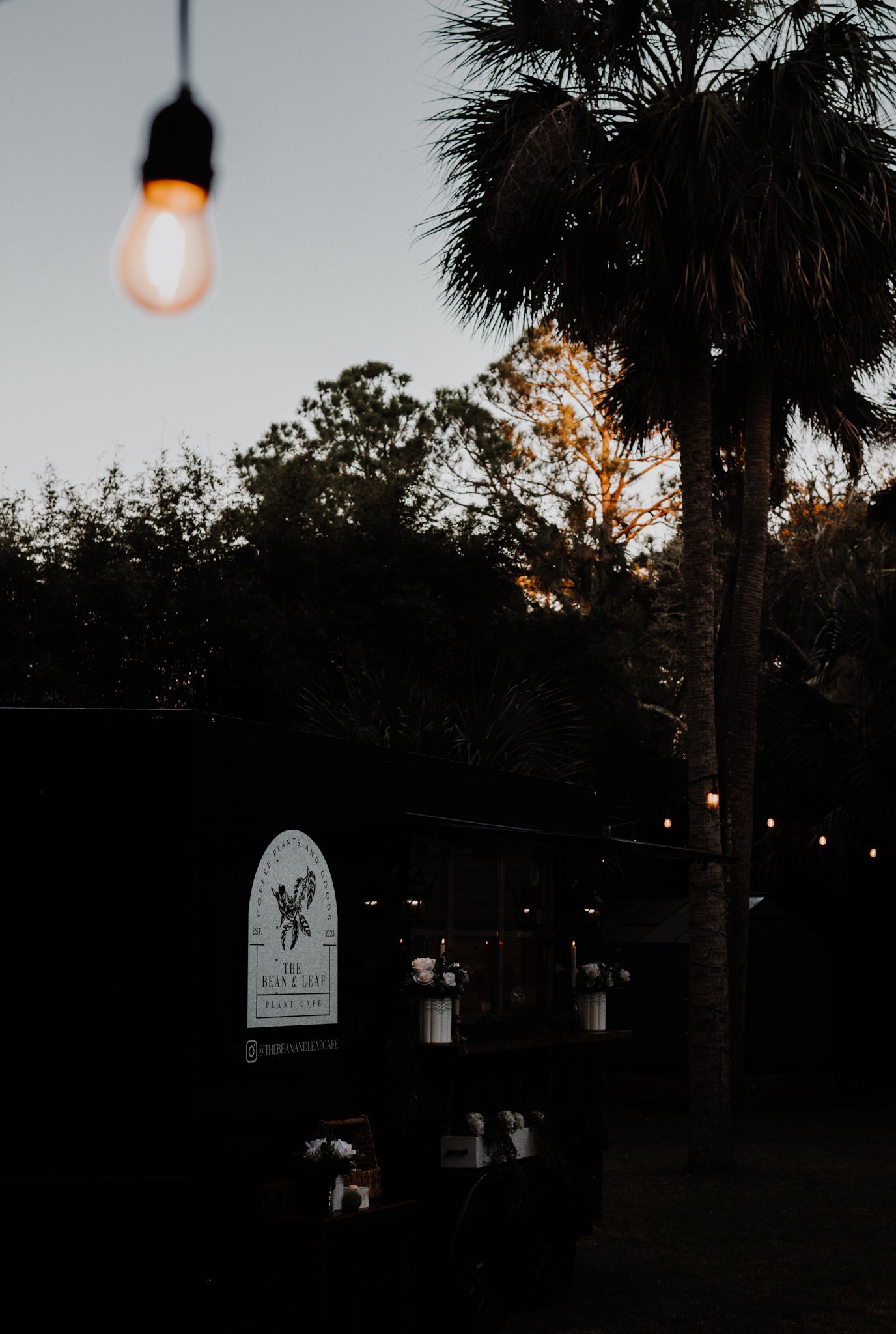 Atmospheric dusk scene of mobile cafe with glowing bulb lights and silhouetted palm trees.