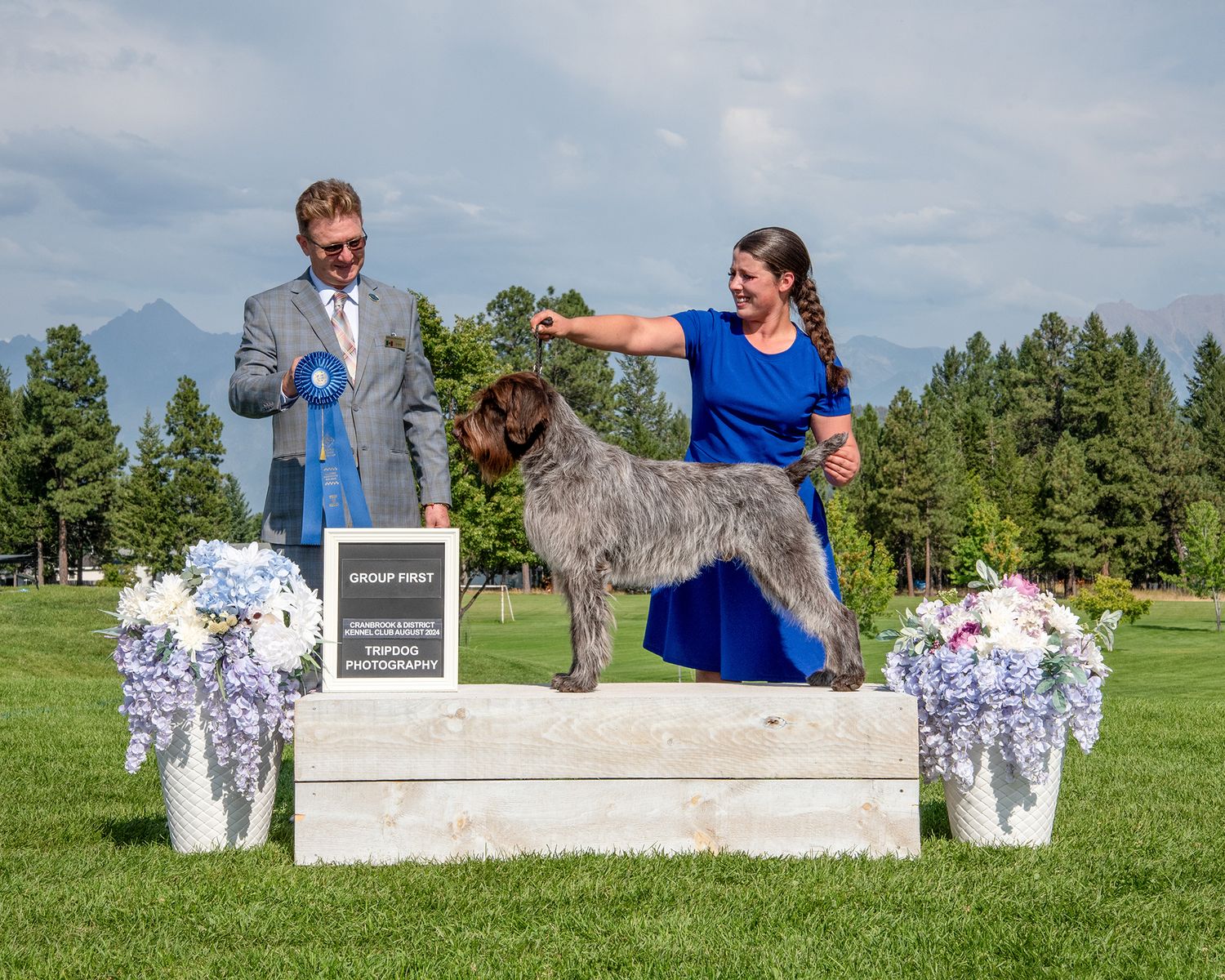 Dog Show Photography Red Deer Conformation