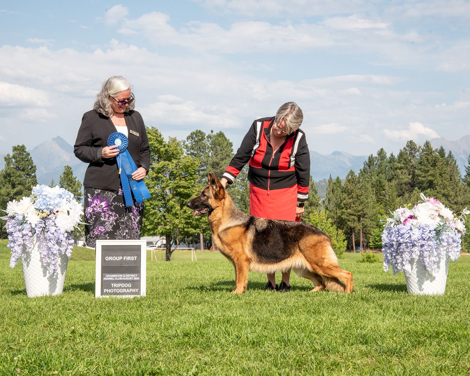Dog Show Photography Red Deer Conformation