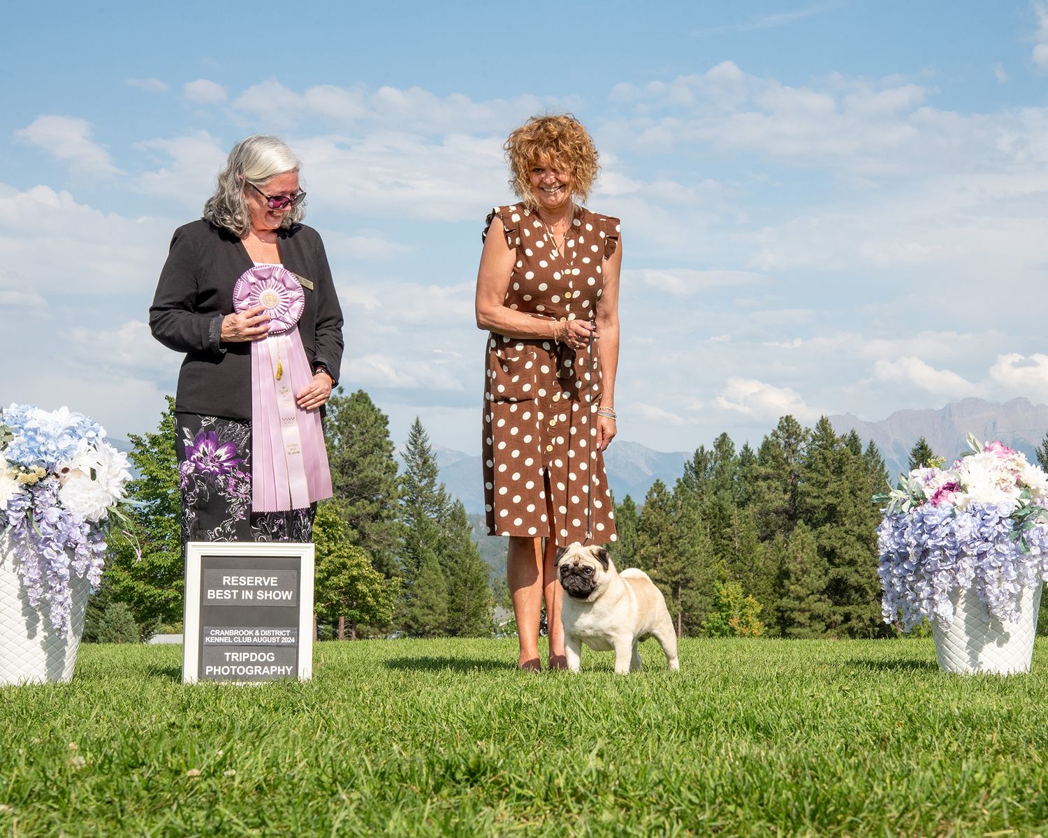 Dog Show Photography Red Deer Conformation