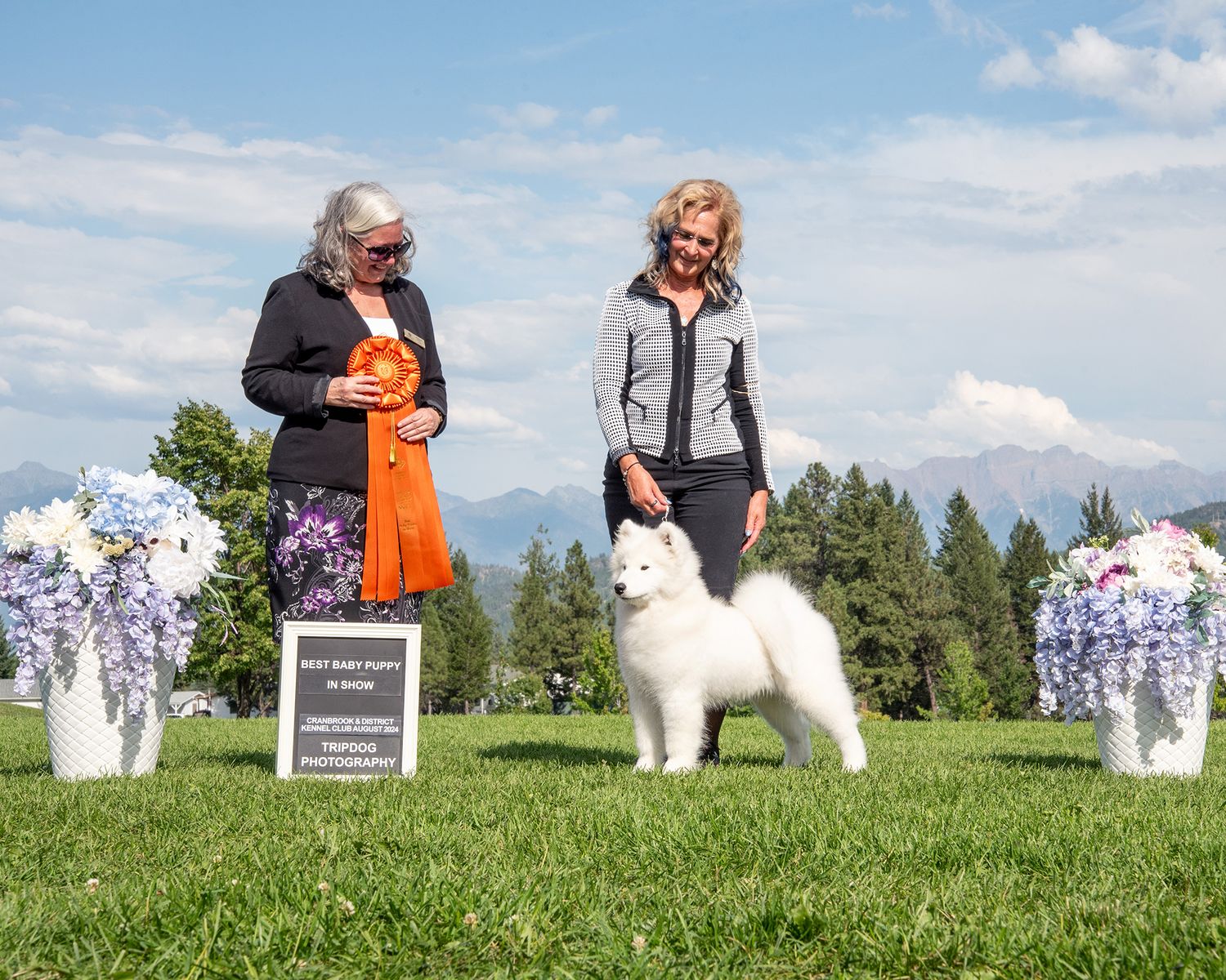 Dog Show Photography Red Deer Conformation