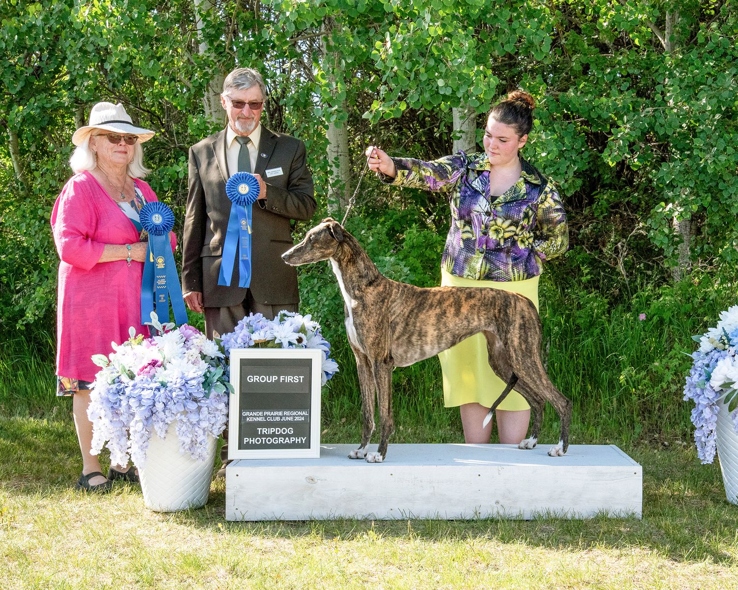 Dog Show Photography Red Deer Conformation