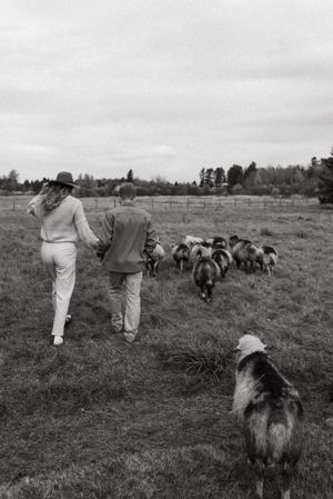 Two people and their dog herding a flock of sheep across a rural pasture.