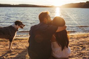 A couple and their dog watching the sunset together on a beach shoreline.