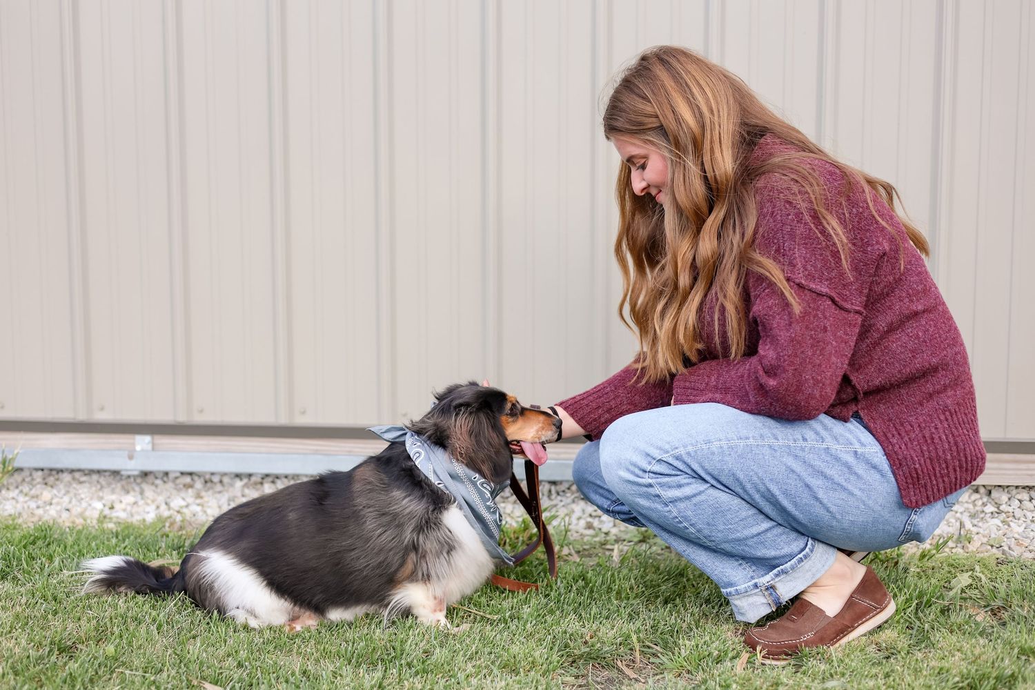 Springfield, IL captures a young girl petting her dog during a family session