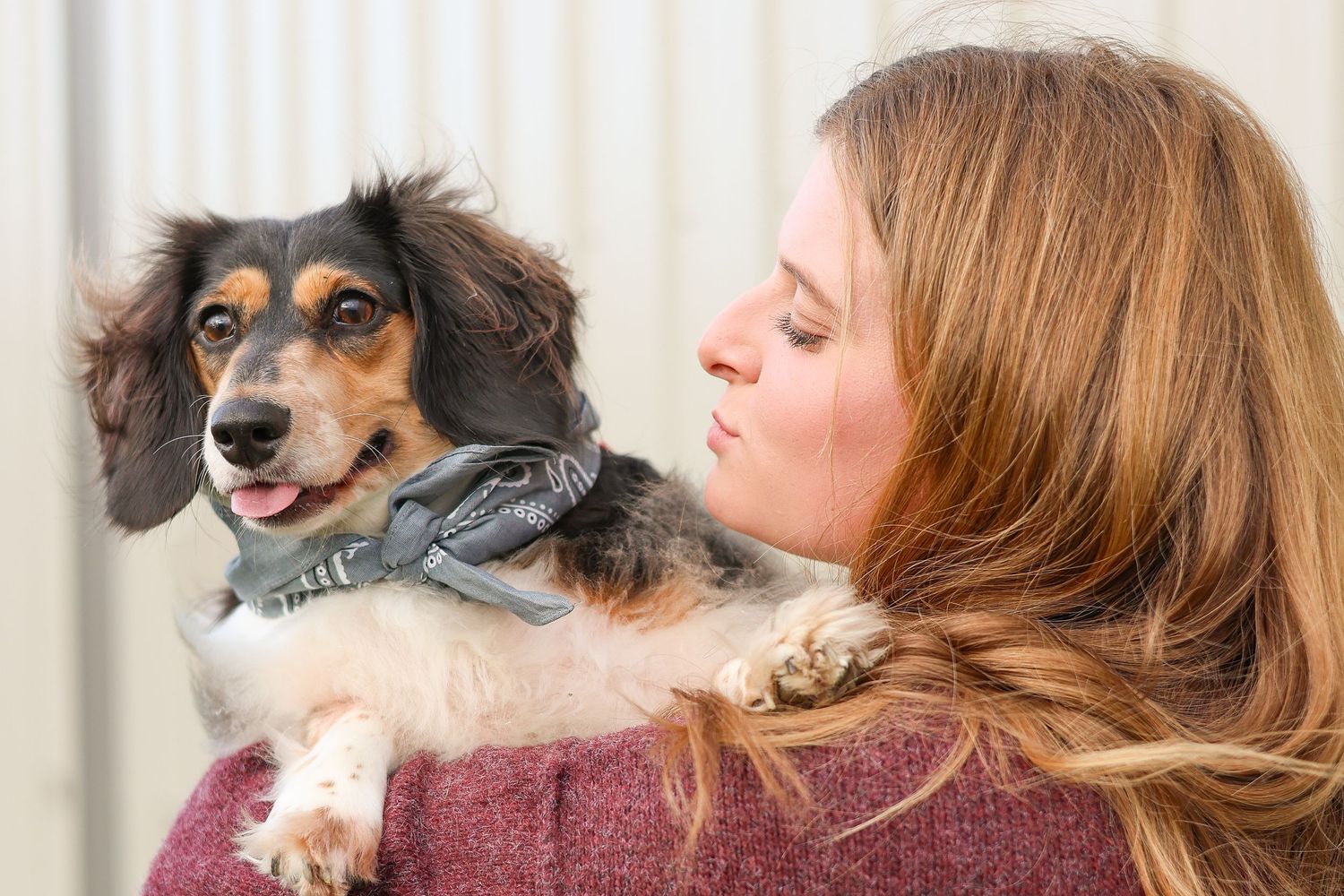 Springfield, IL photographer captures someone kissing their dog during a family photo session in Central IL