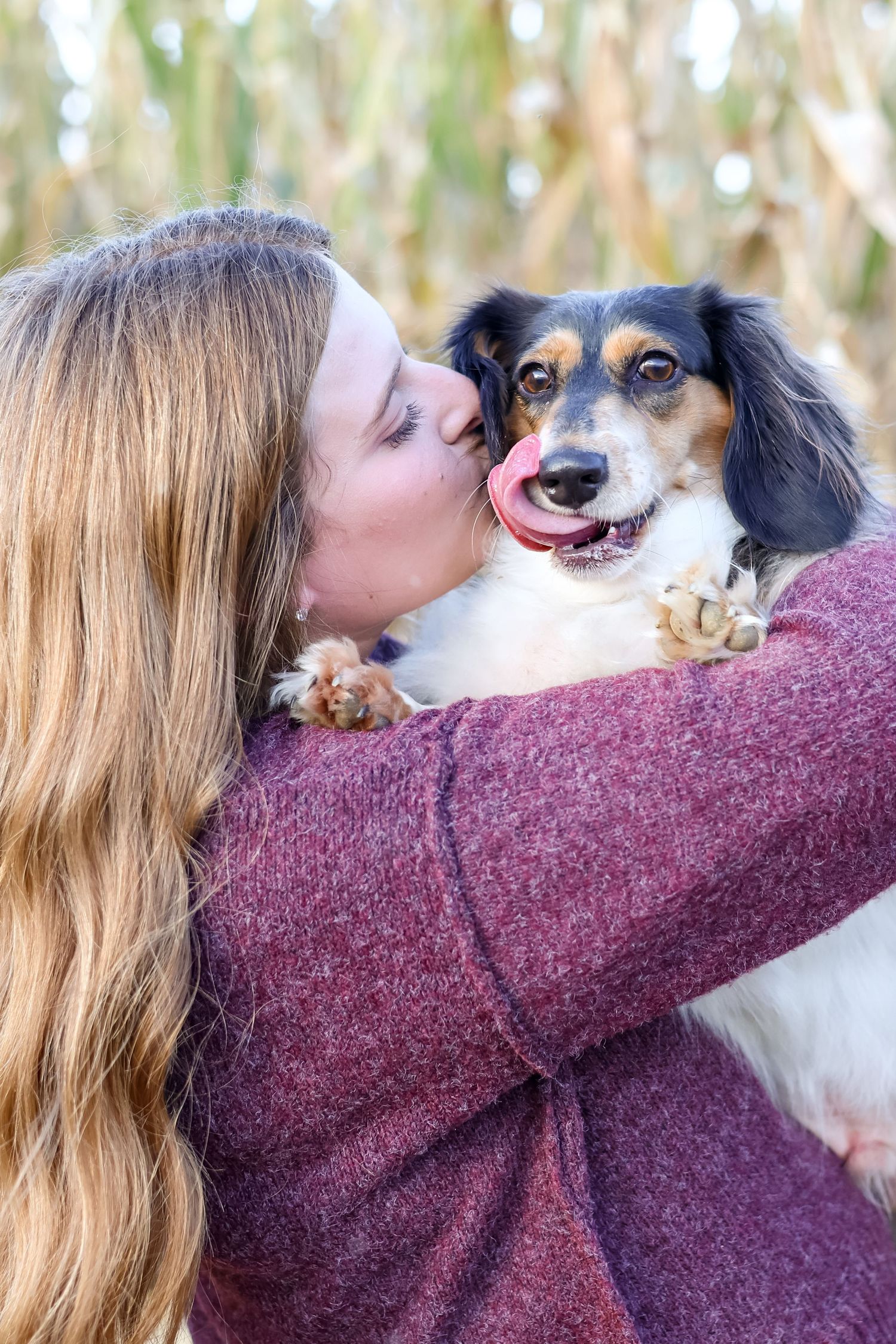 Springfield IL photographer captures a candid moment of someone kissing their dog during a family photo session in Central IL