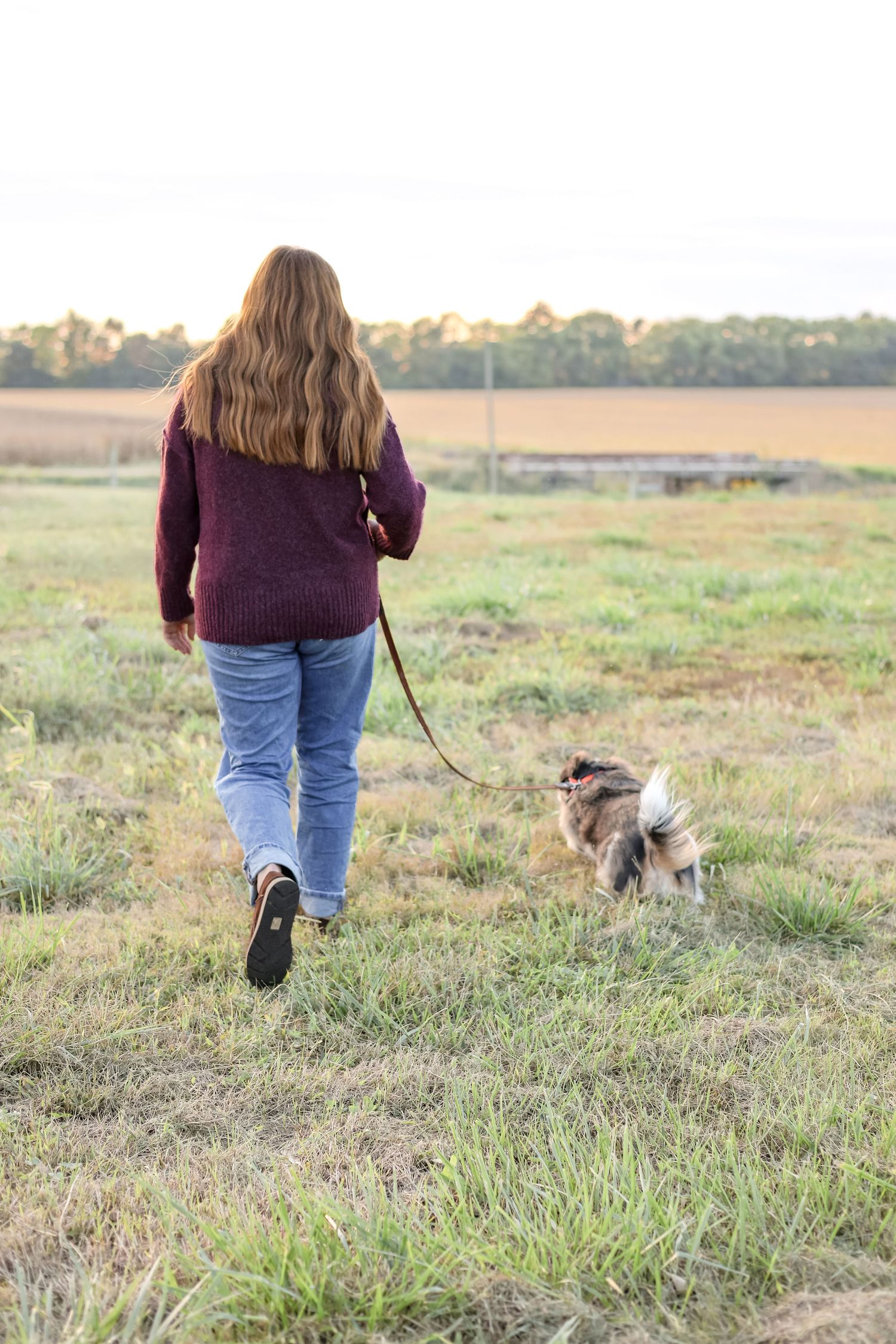 Springfield Il photographer captures a dog owner walking their dog during a family photo session in Central Il