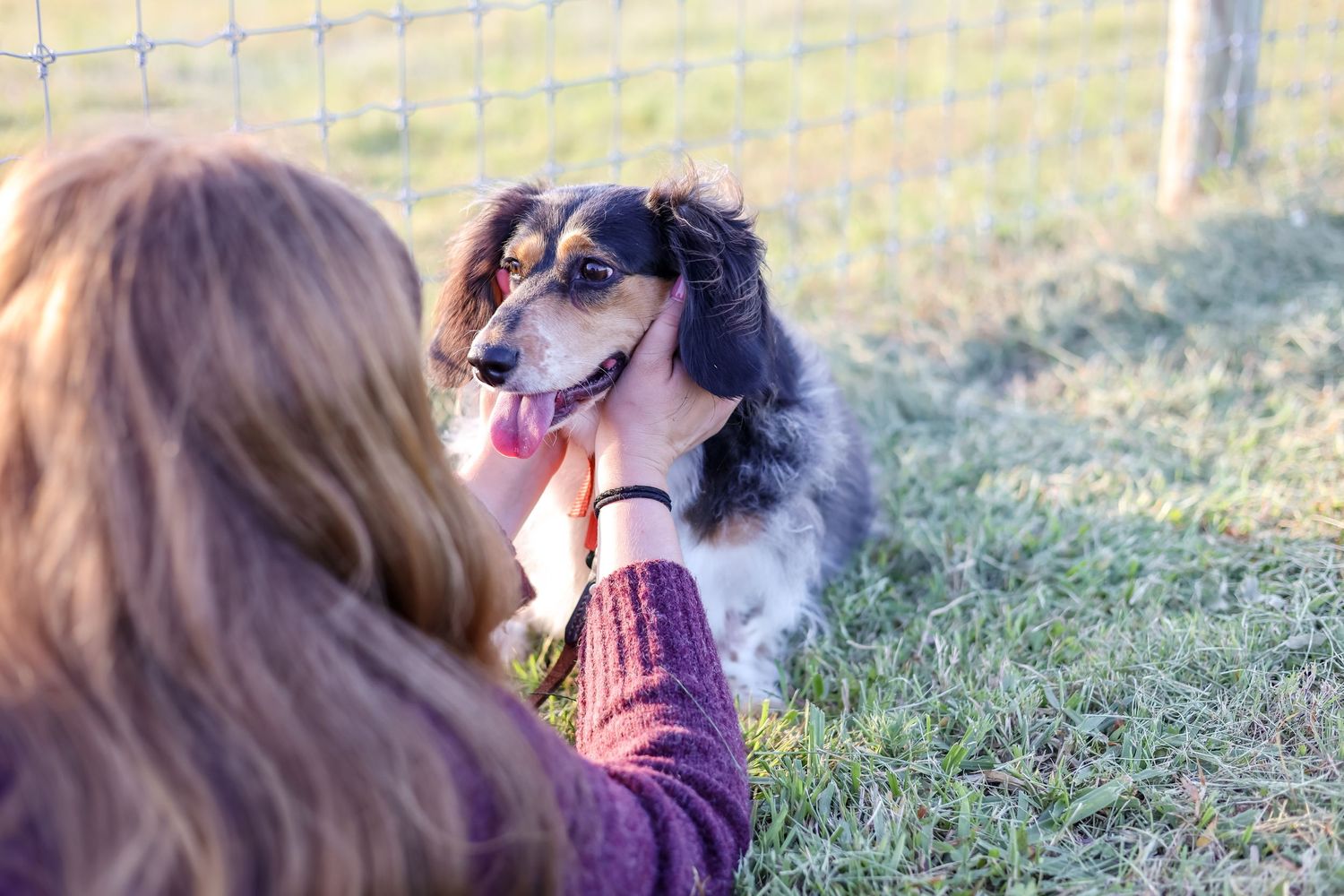 Springfield Il photographer captures a close up of a dog smiling over the owner's shoulder during a family photo session in Central Il