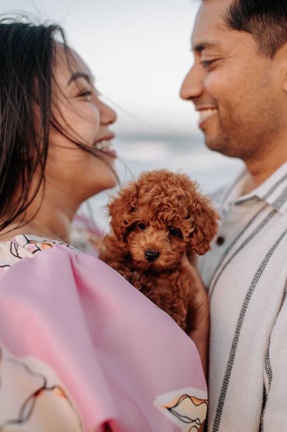 A couple smiles while holding an adorable red toy poodle puppy outdoors during golden hour.