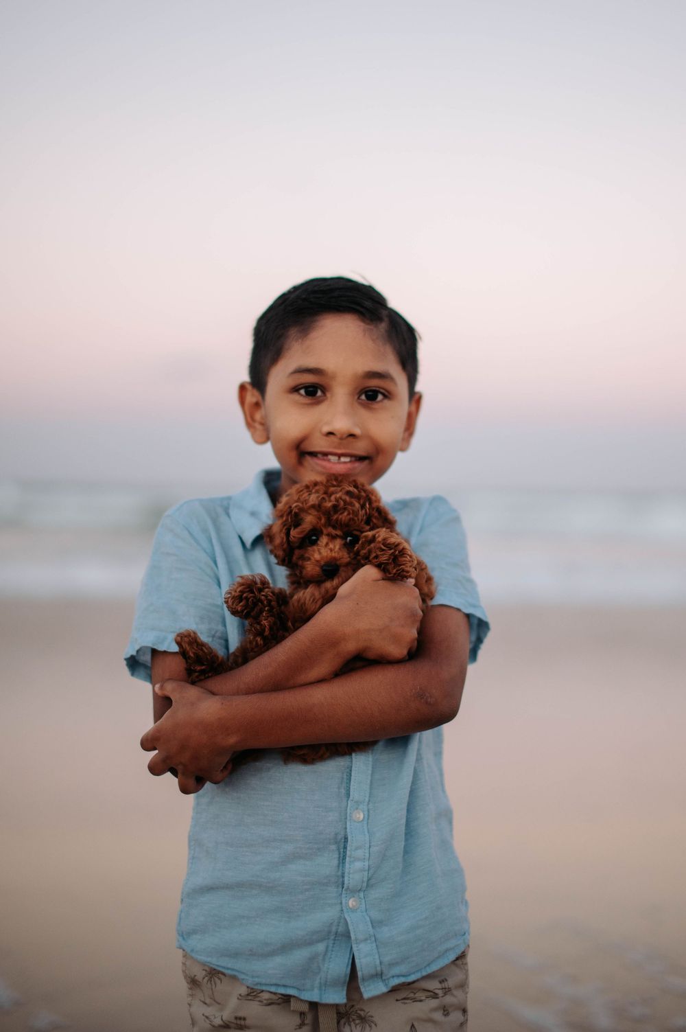 A young child in a blue shirt holds a small brown poodle puppy at the beach during sunset.