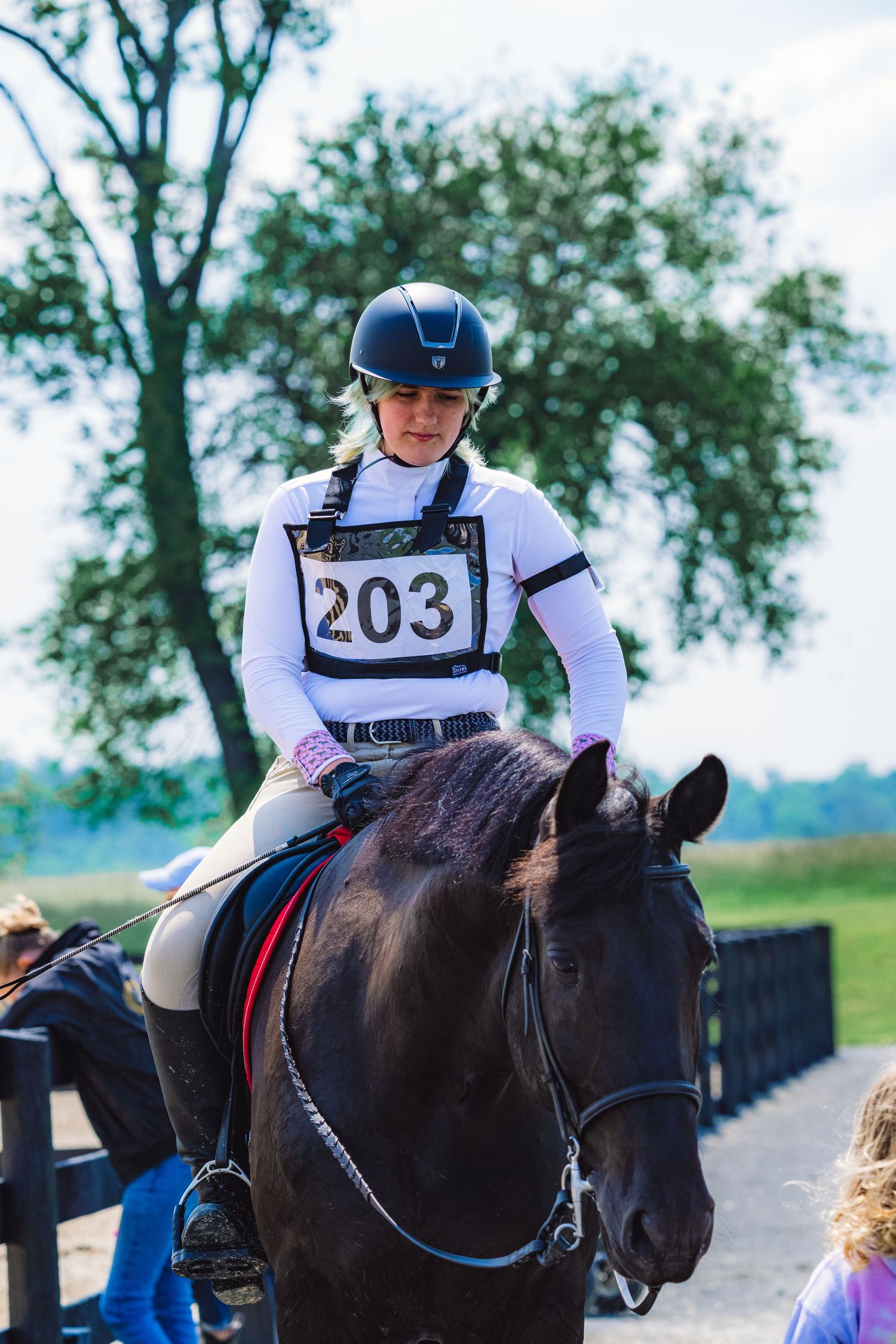 a black horse and rider