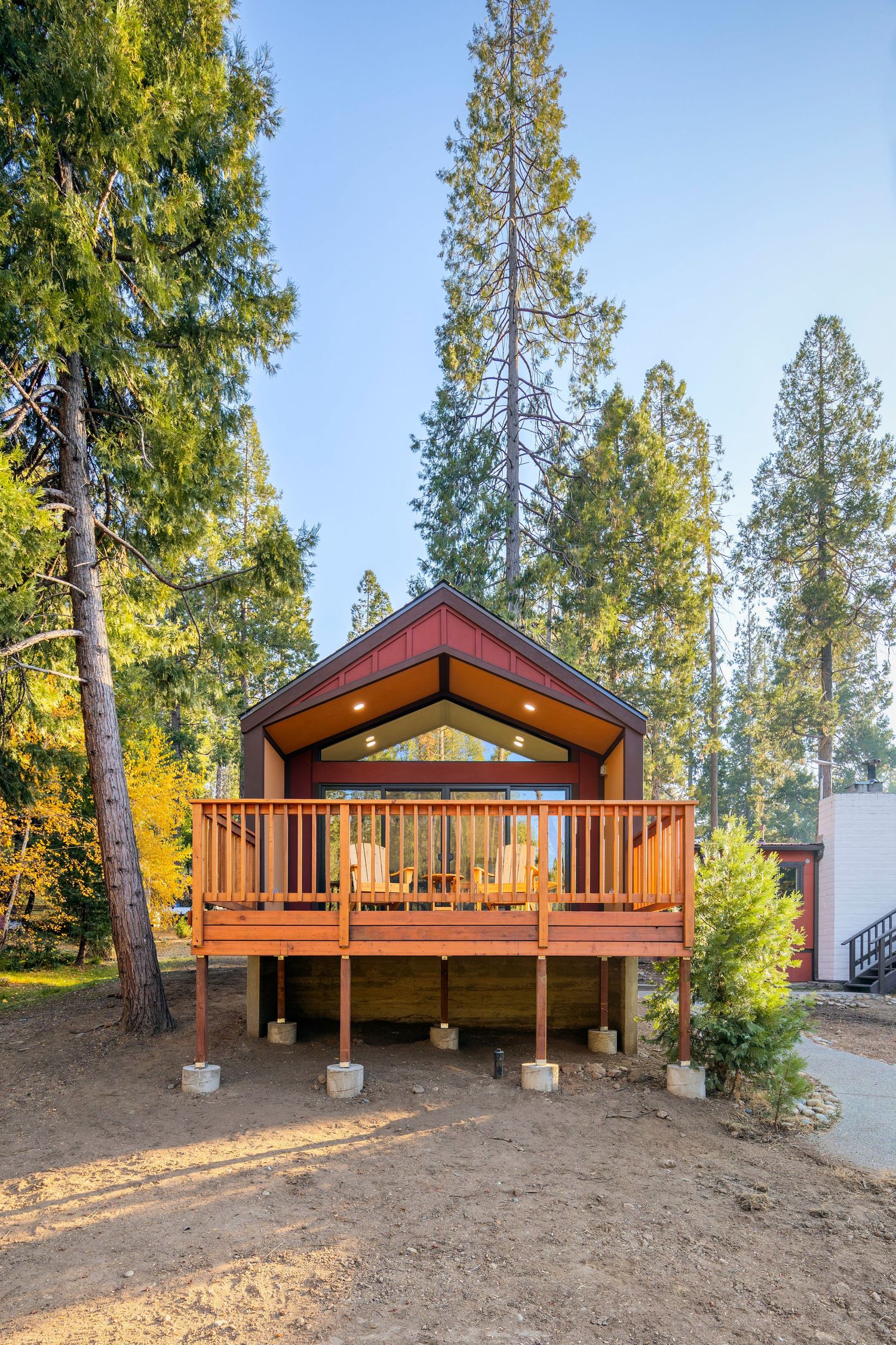 Cozy wooden cabin with deck surrounded by tall cedar trees in forest setting.