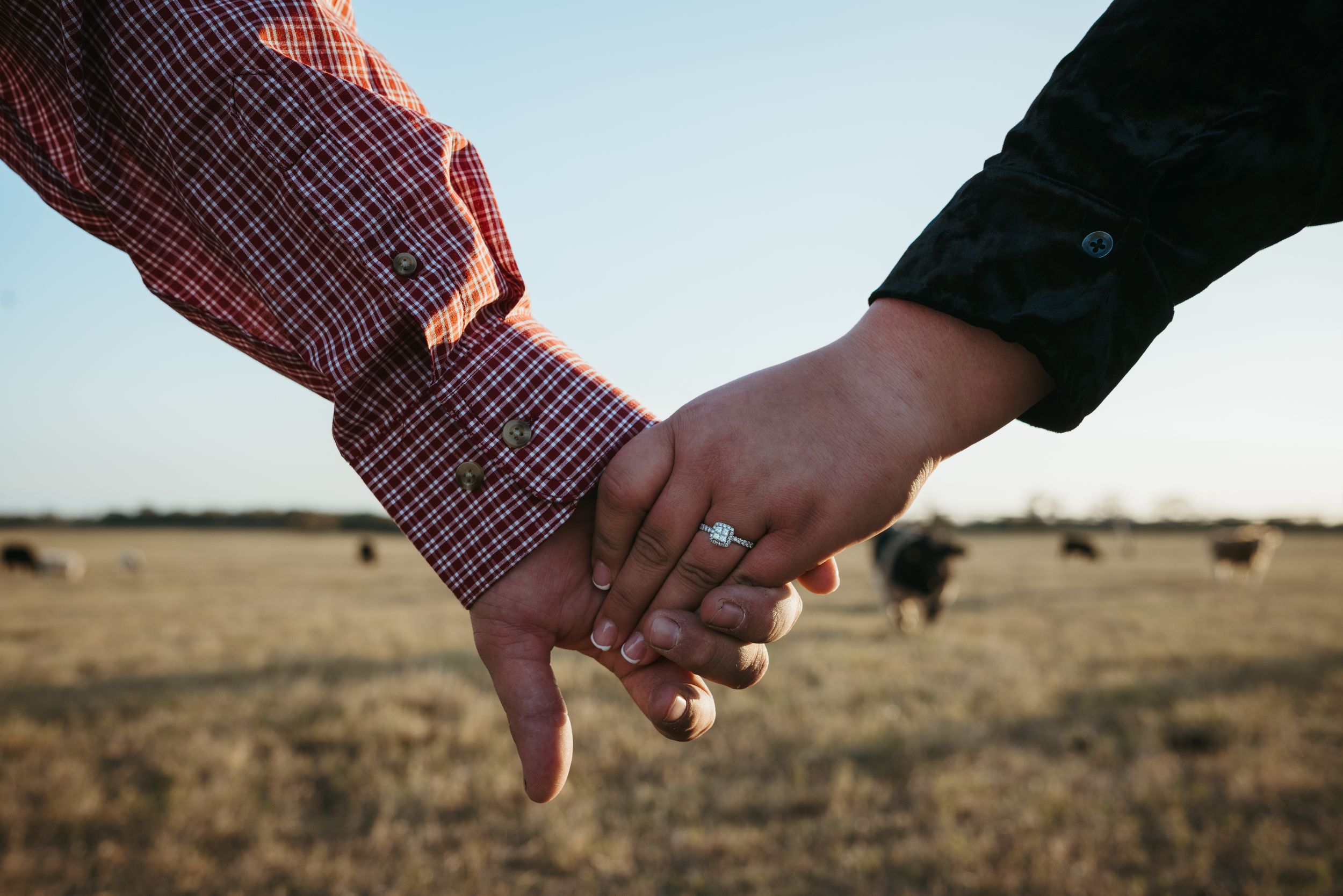 Two hands clasped together against a rural landscape at sunset.