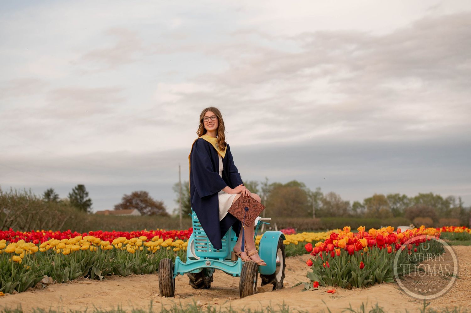 Person rides vintage push pedal cart through vibrant spring tulip field under cloudy sky at farm.