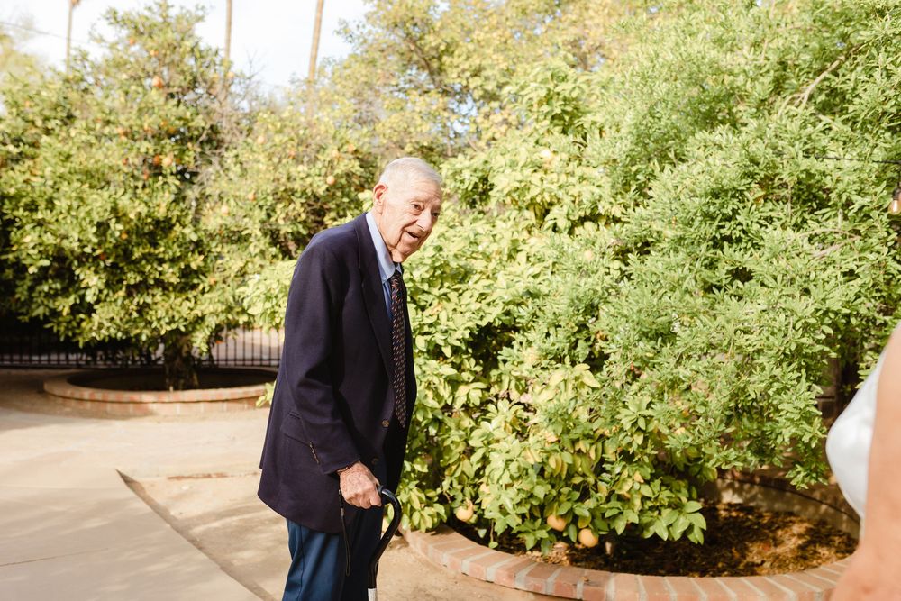 A person in a navy suit walks along a curved garden path surrounded by lush green foliage on a sunny day.