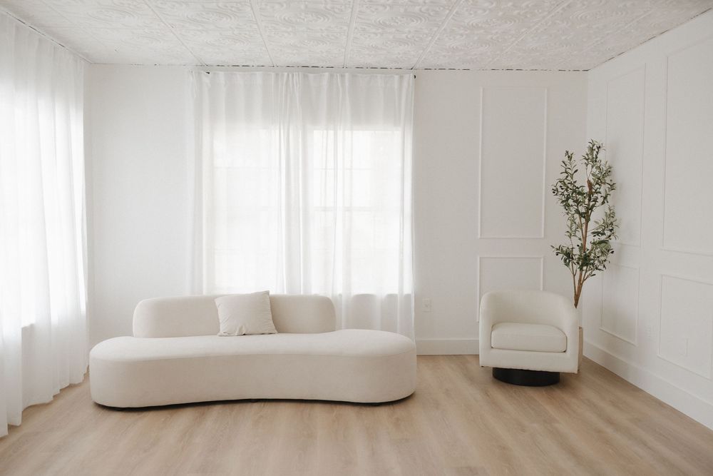 Minimalist white living room with curved sofa, accent chair, potted olive tree, sheer curtains, and light wood floors.