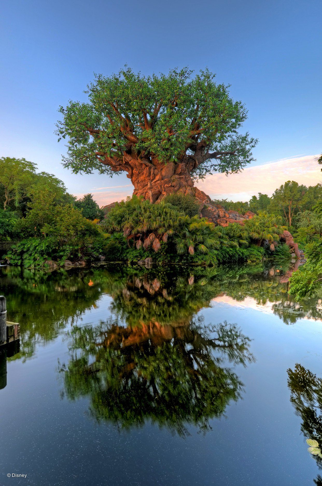 Scenic reflections of the Tree of Life at Disney's Animal Kingdom theme park mirrored in still waters at different angles.