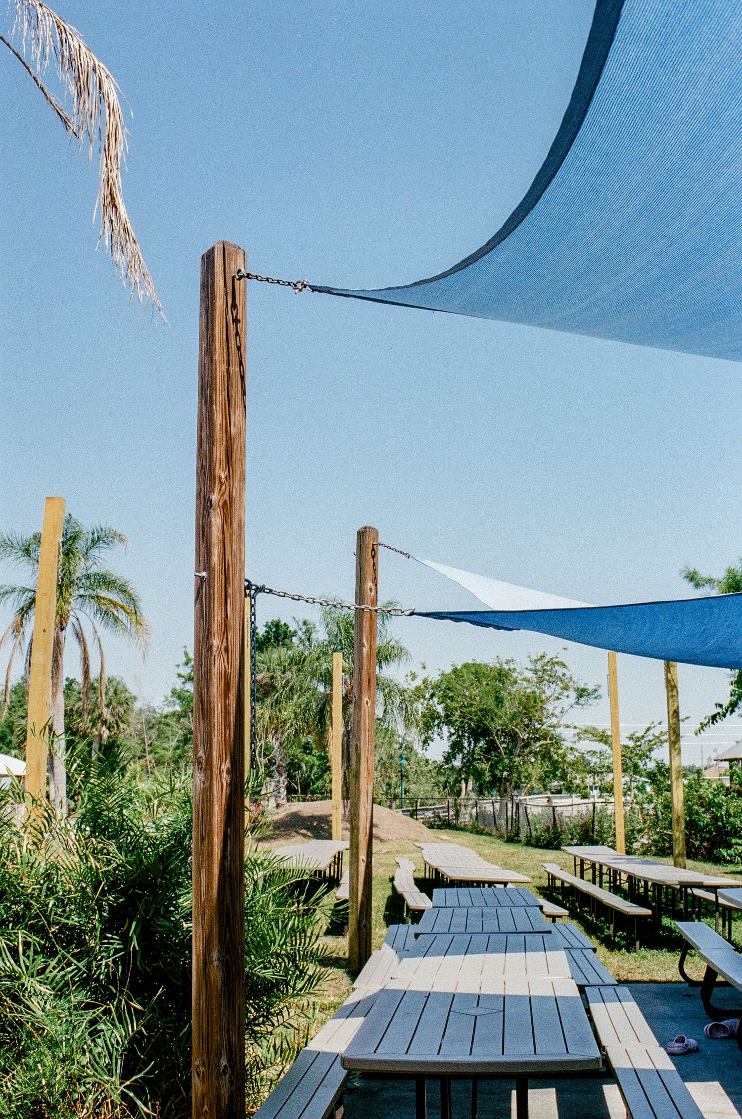 Wooden picnic tables arranged under blue shade sails with palm trees and lush greenery in the background.
