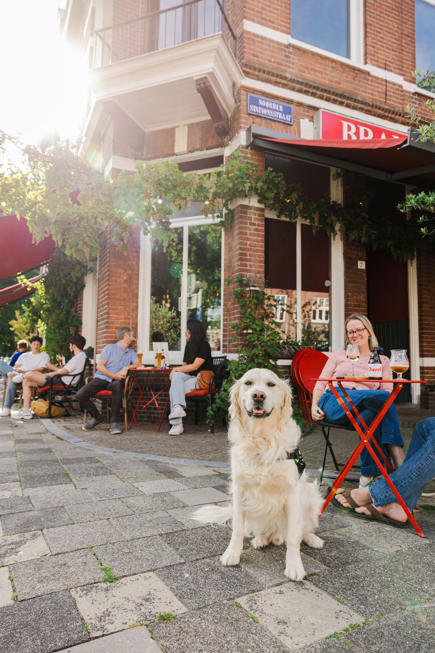 A fluffy white dog sits on a sidewalk outside a cafe with outdoor seating and brick building on a sunny day.