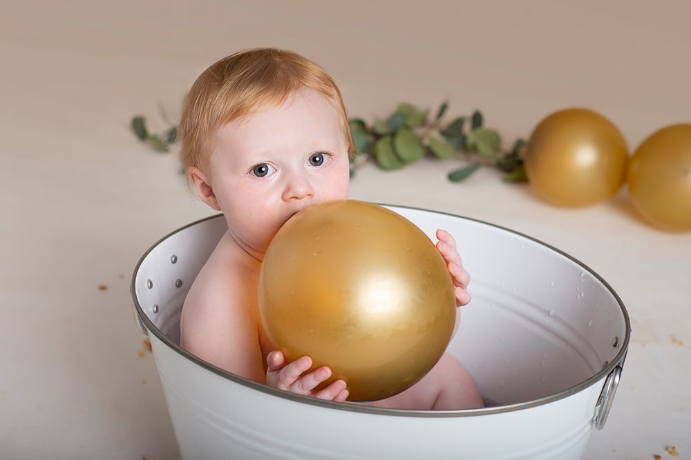 one  year old in bath first birthday in studio Baltimore Ontario*
