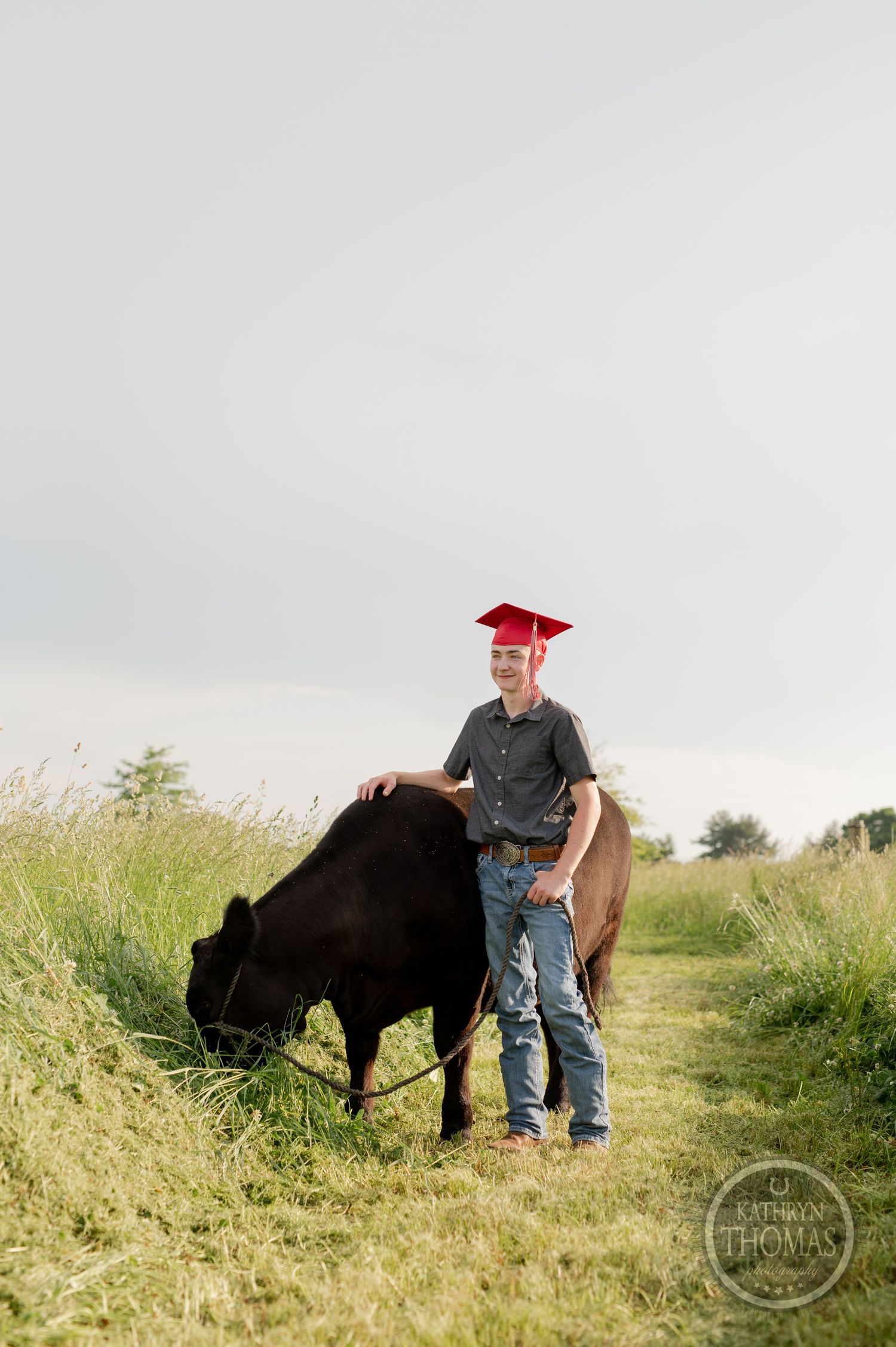 Graduate in red cap stands with black cow grazing on rural path.