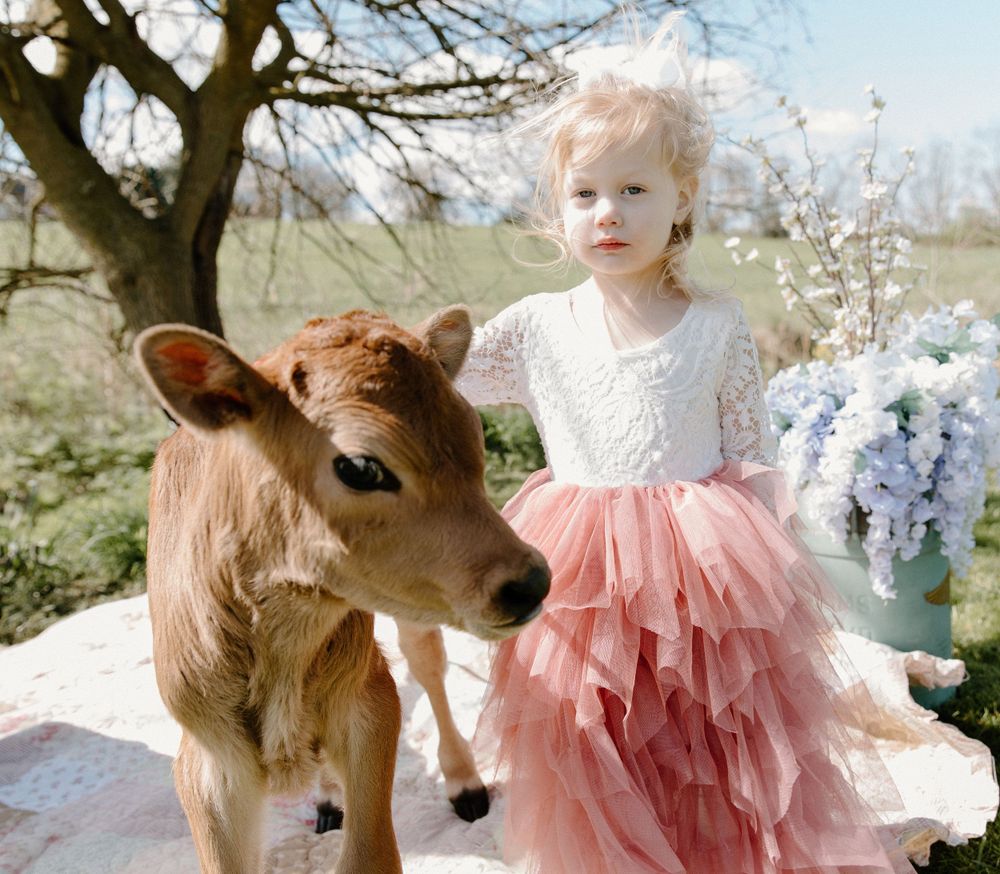 Young child in pink tulle dress standing with baby calf near spring blossoms.