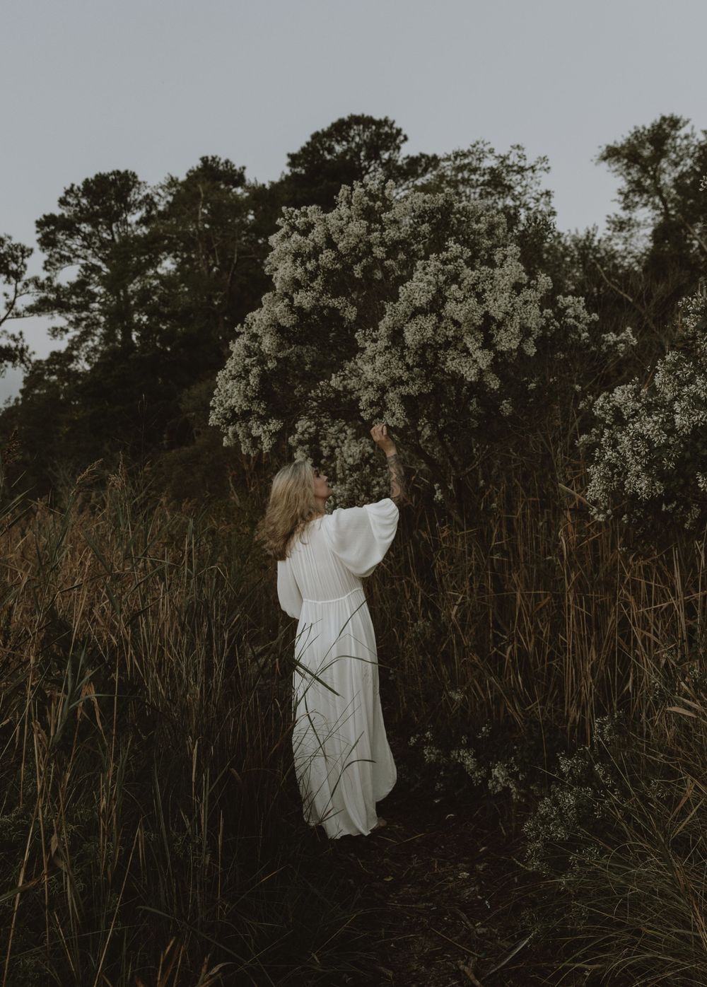 Dreamy silhouette of figure in white dress among tall grass and flowering trees.