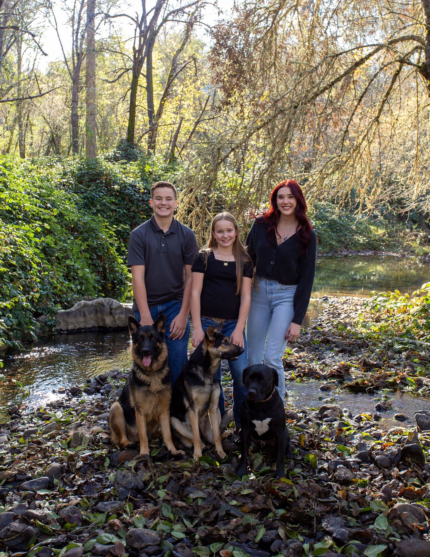 Volcano CA, Creek Photos, Amador County Photographer, Fall Photos, dogs, Siblings