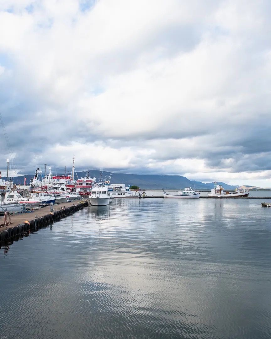 Wide harbour view with boats, distant mountains and cloudy skies.