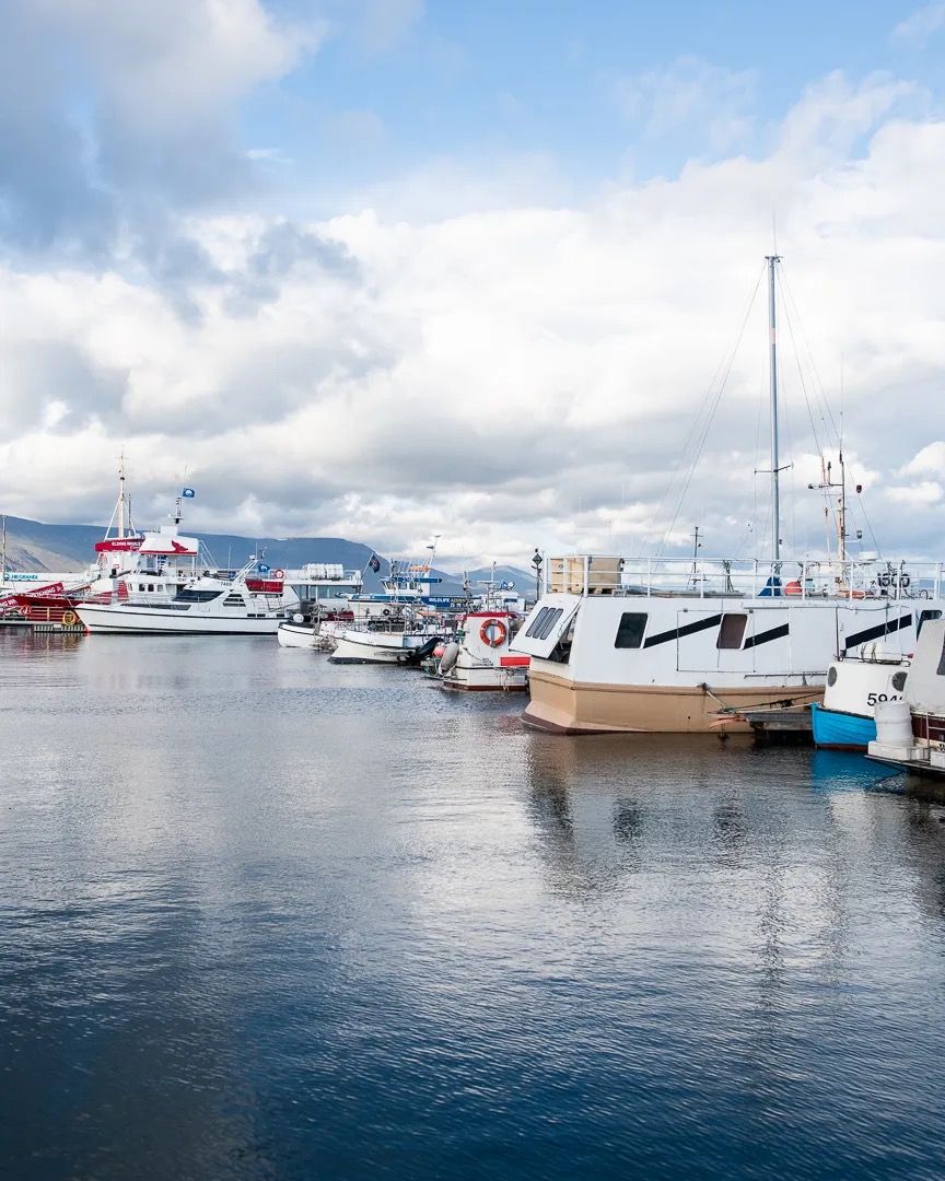 Small boats moored in a calm marina with reflections on the water.