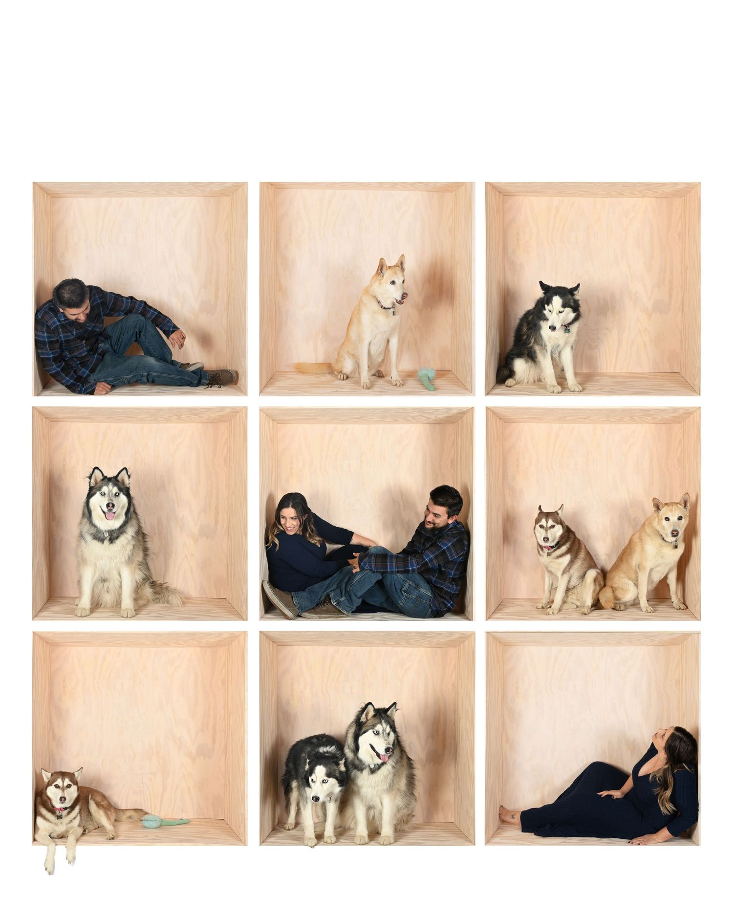 A series of husky dogs and their companions arranged in decorative wall niches with beige backgrounds.