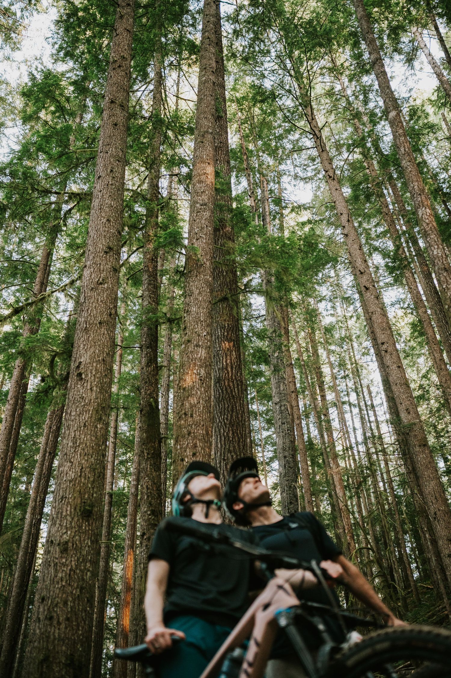 Adventurous couple photographer mountain biking through Cumberland Forest Vancouver Island engagement session looking at trees