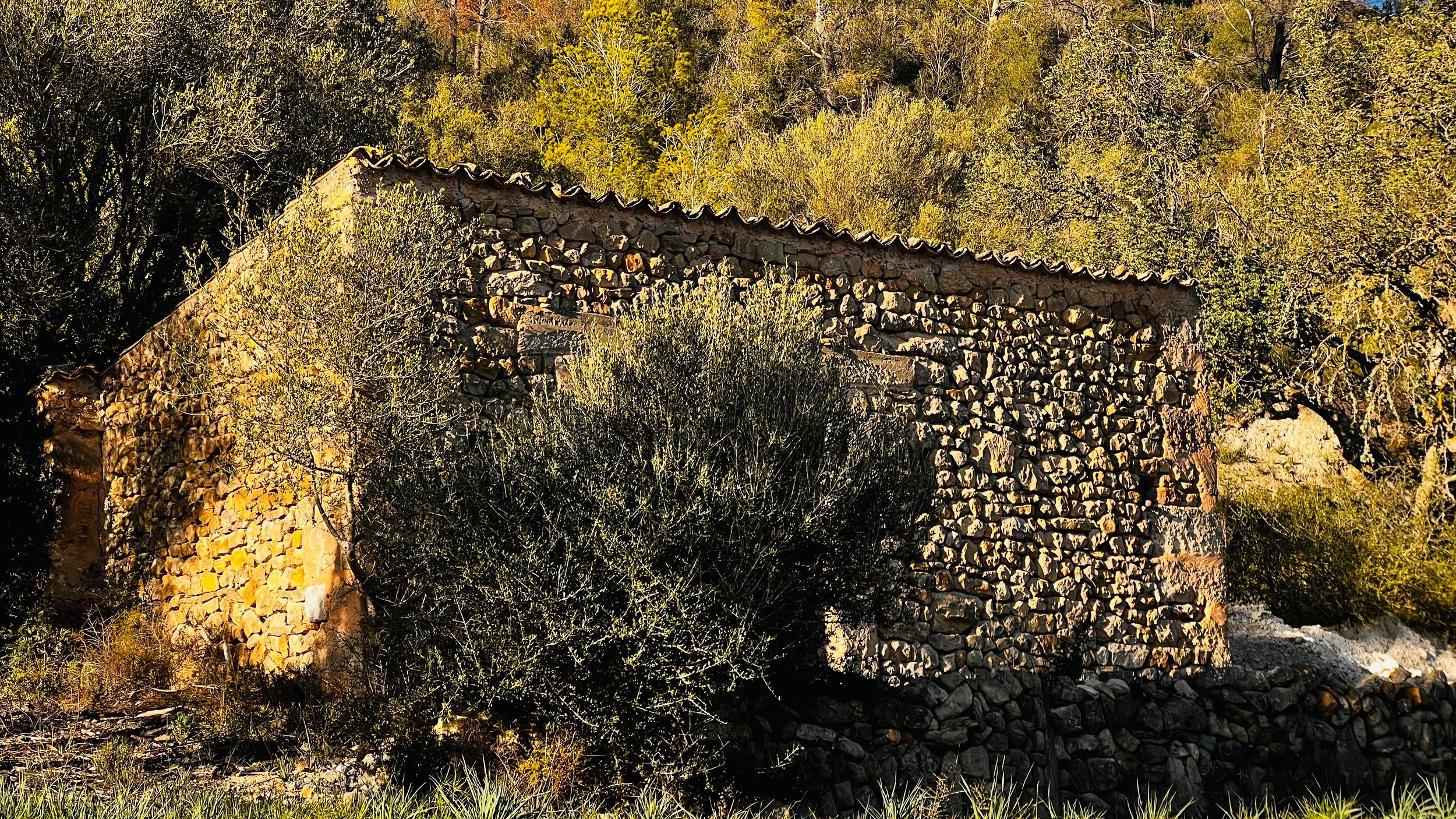 Ancient stone ruins of a small building with crumbling walls stand among autumn foliage in golden sunlight.