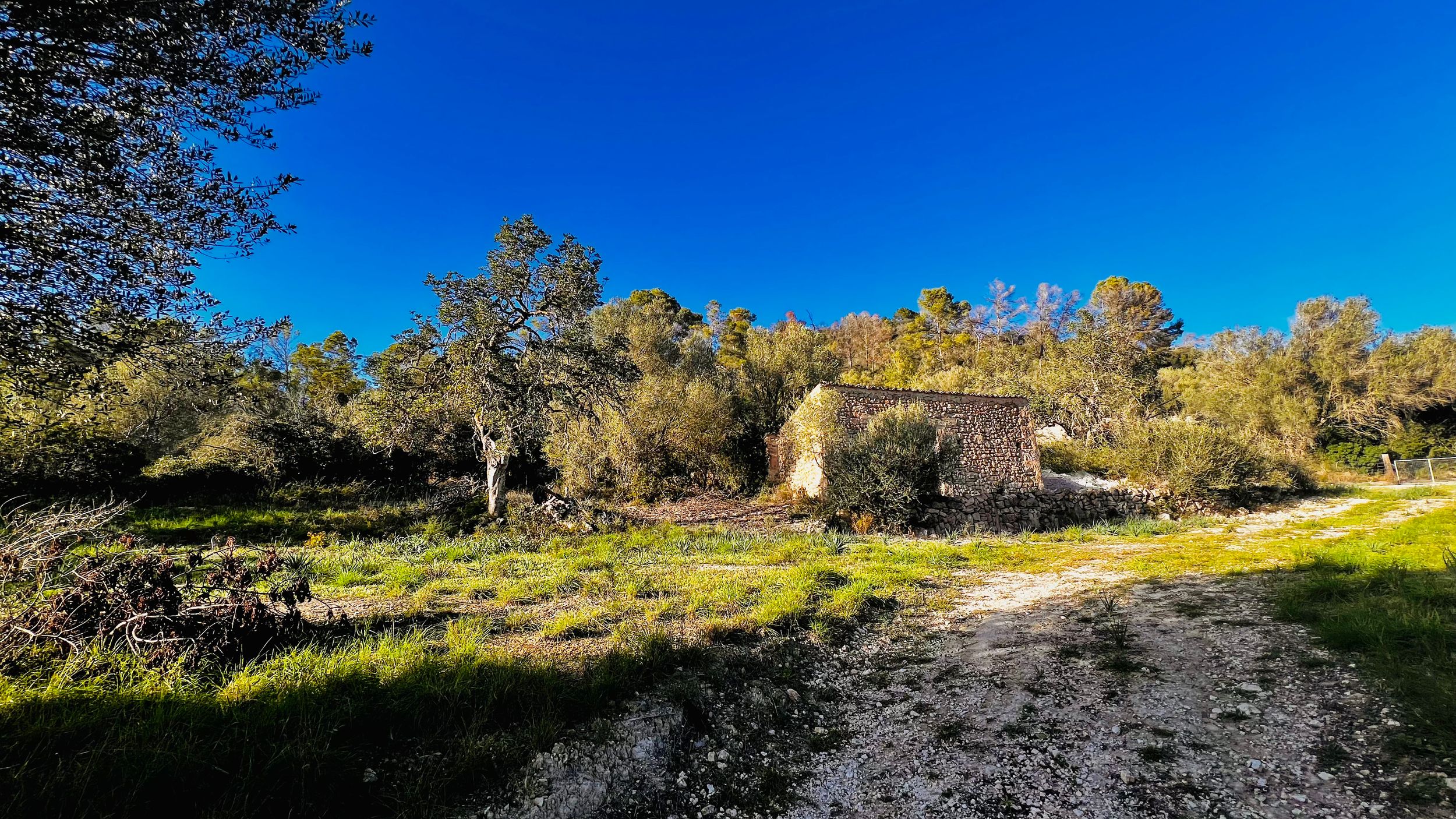 A panoramic view of a desert landscape with mountains, trees, and clear blue skies on a sunny day.
