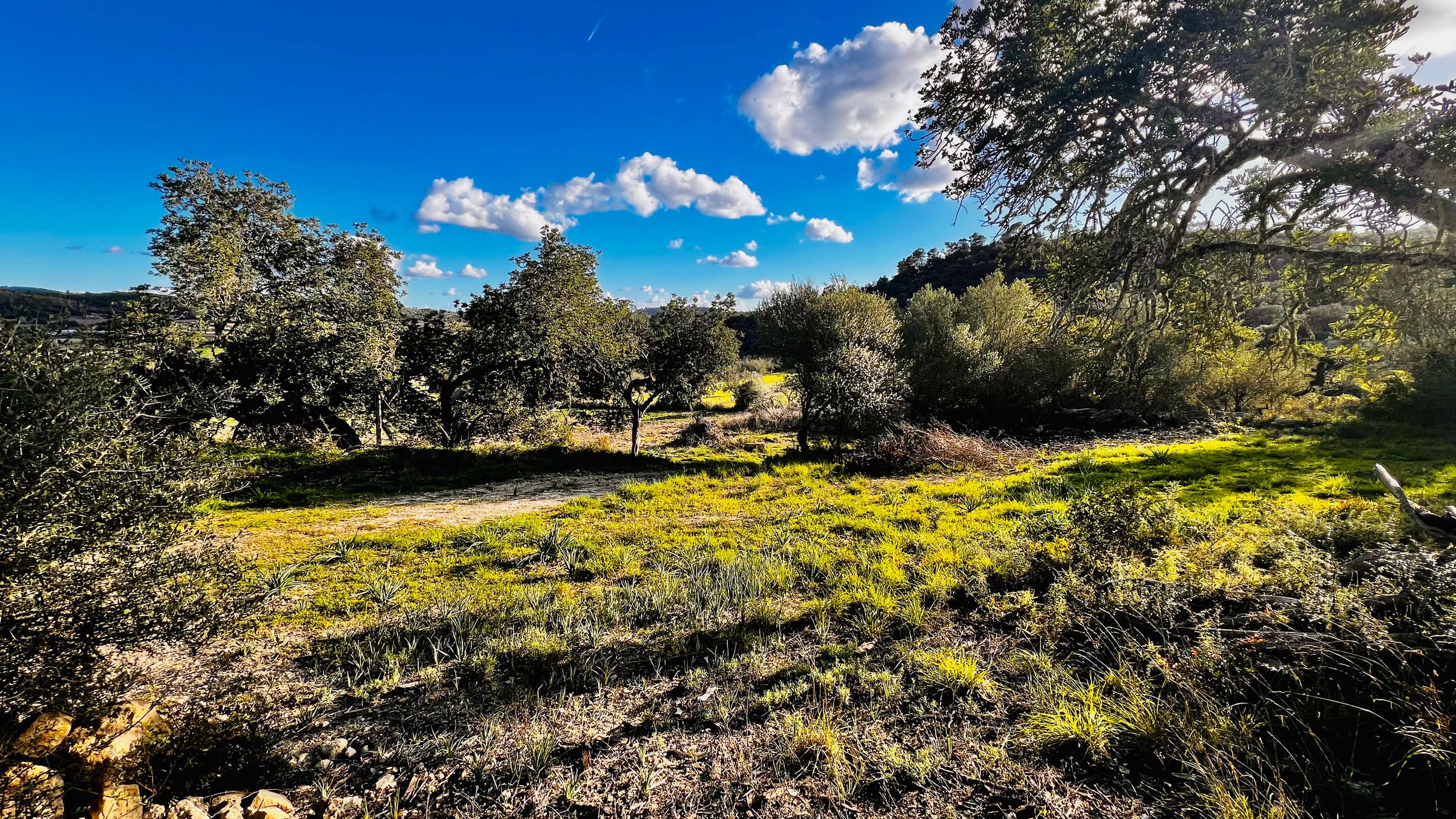 Panoramic view of a mountainous landscape with green trees and white puffy clouds against a bright blue sky.