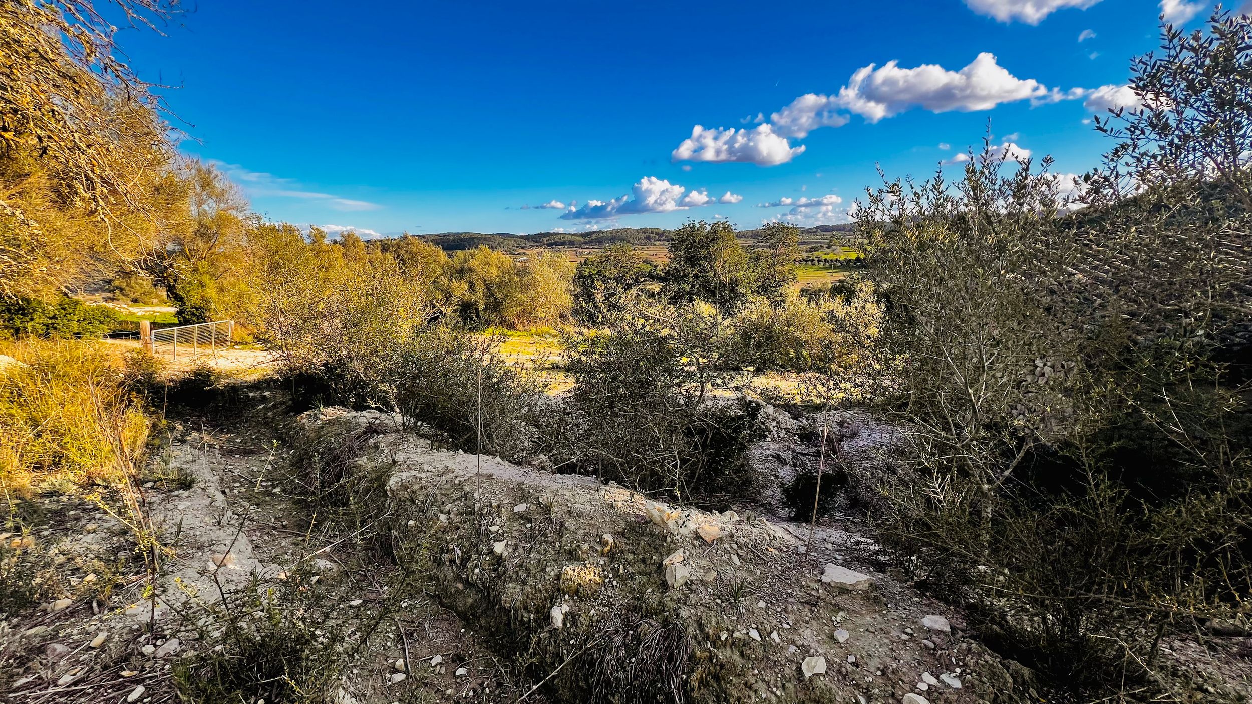 Wide-angle mountain vista showing golden autumn foliage and rocky terrain under a vibrant blue sky with scattered clouds.
