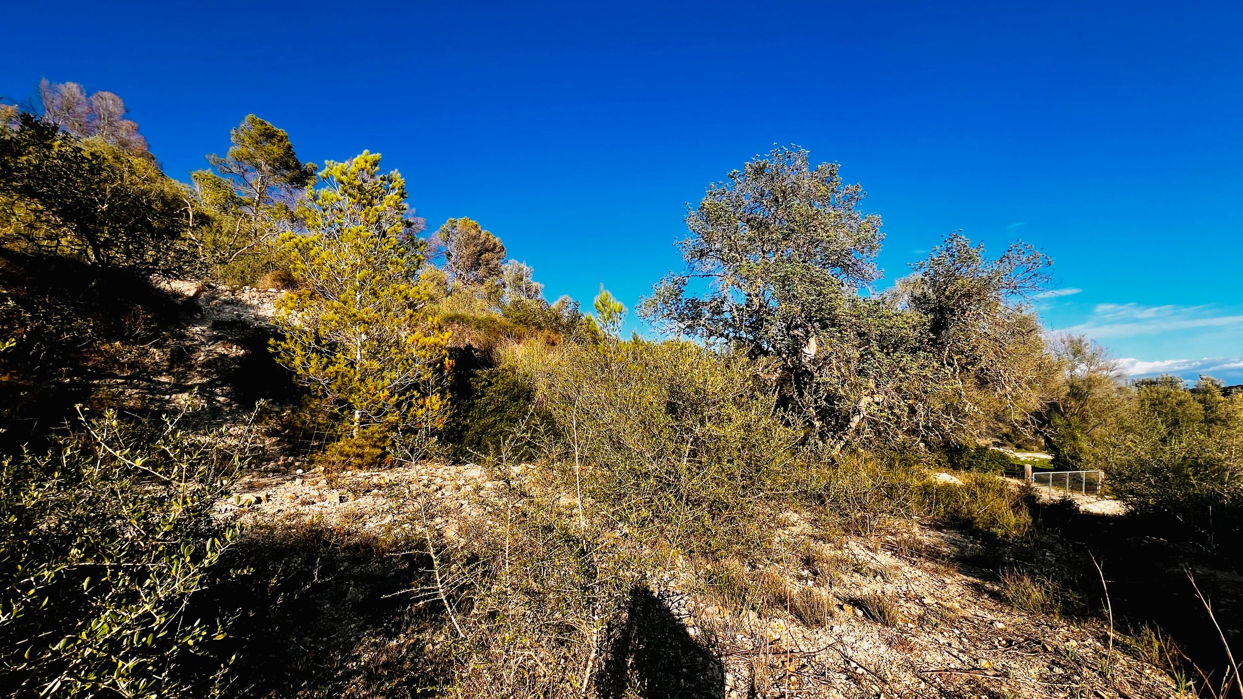 Panoramic view of a desert landscape with rocky terrain and blue sky stretching across the horizon.
