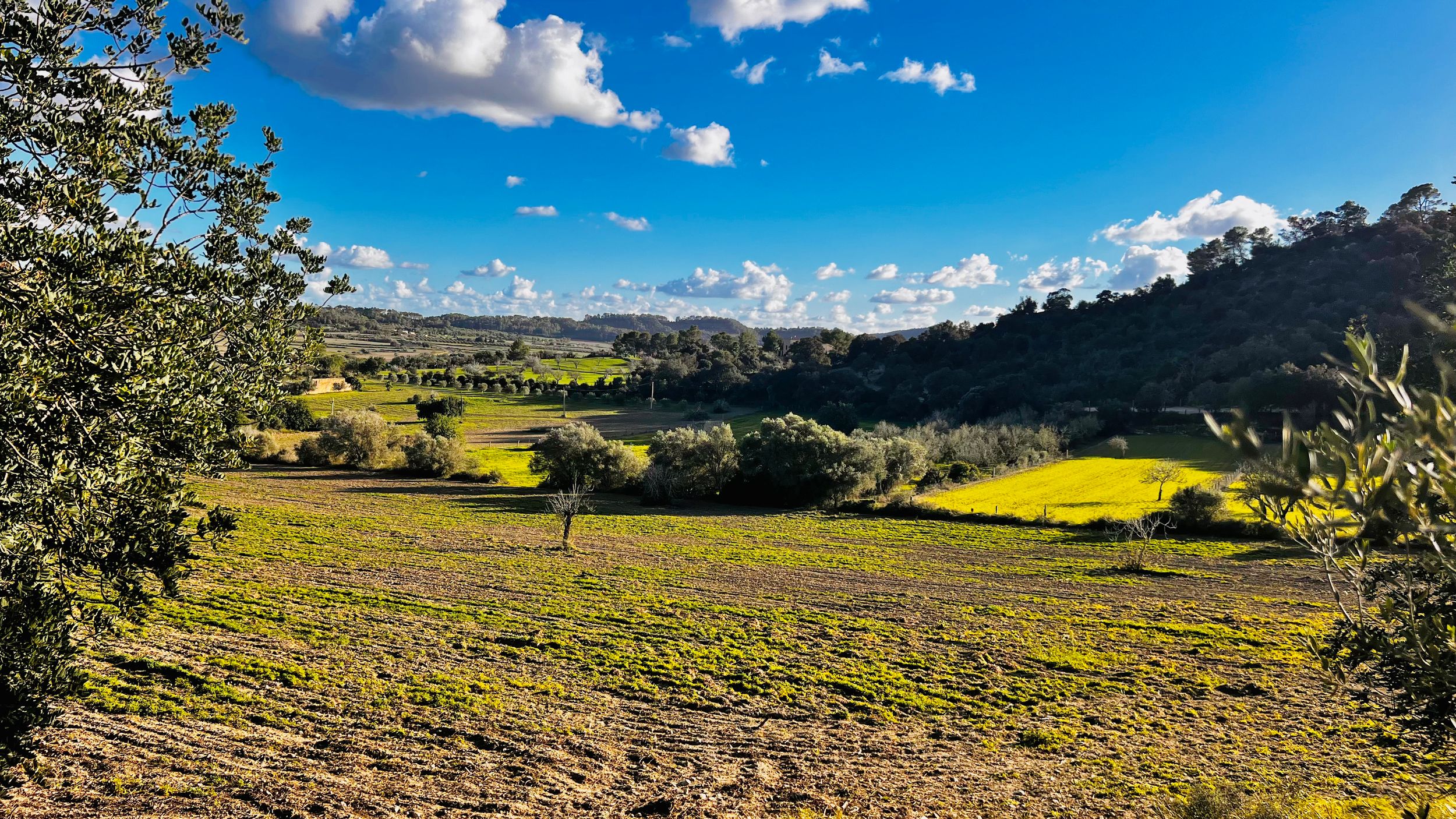Sweeping panoramic vista of rolling hills and meadows under scattered clouds and bright blue skies.