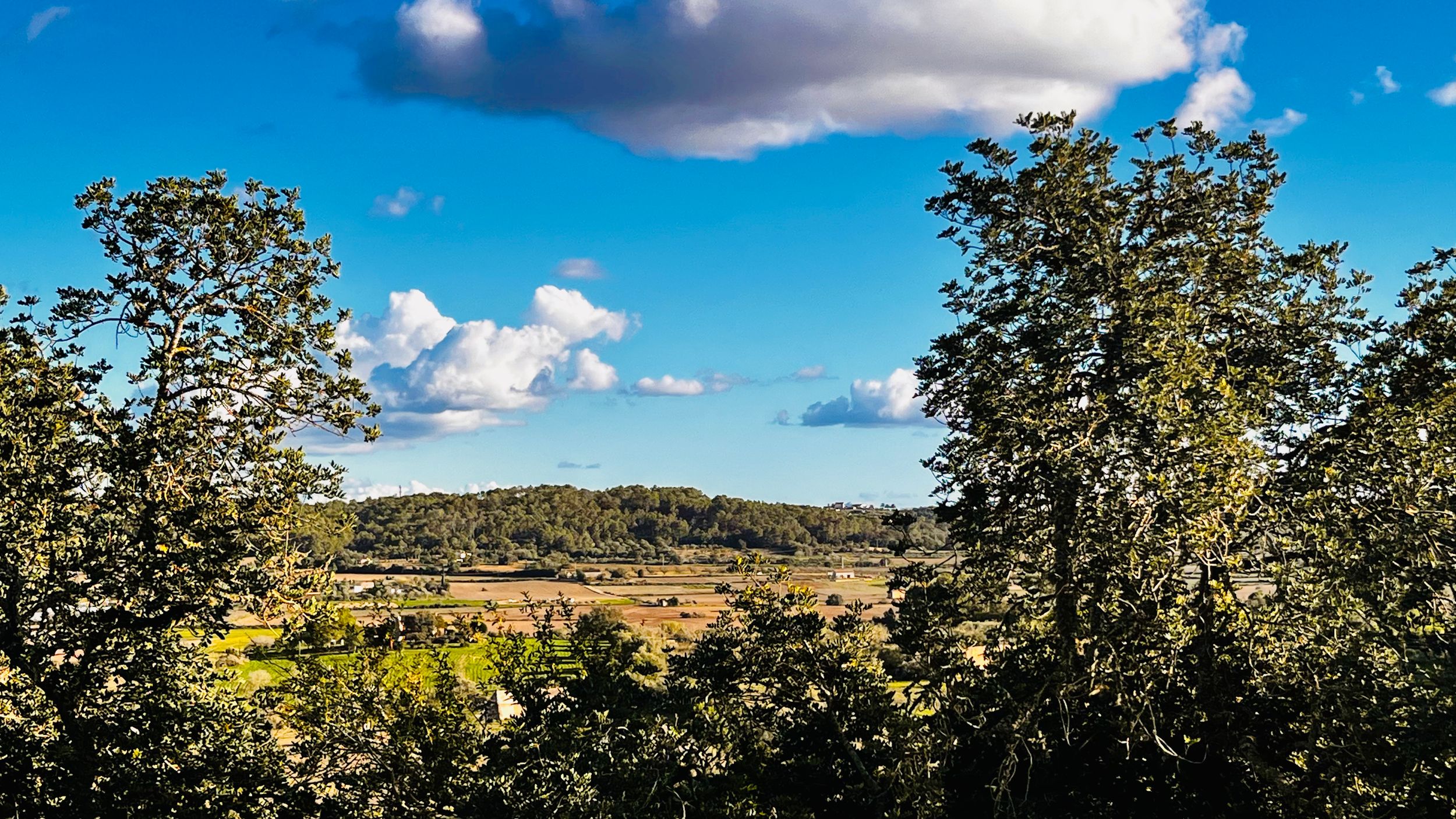 A panoramic view of rolling hills and farmland under a bright blue sky with scattered white puffy clouds.
