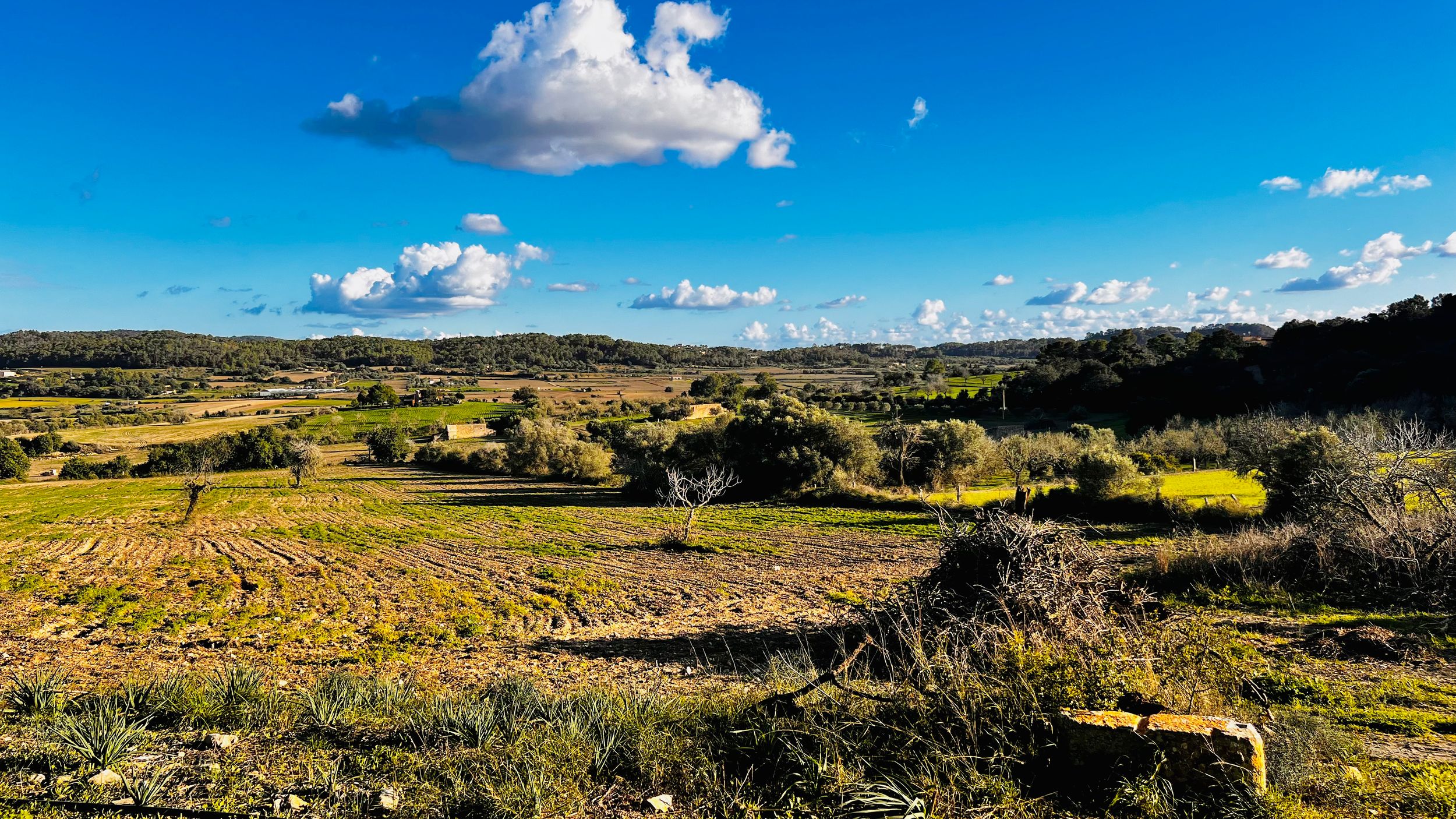 Panoramic view of rolling hills with green fields and scattered clouds in a vibrant blue sky.