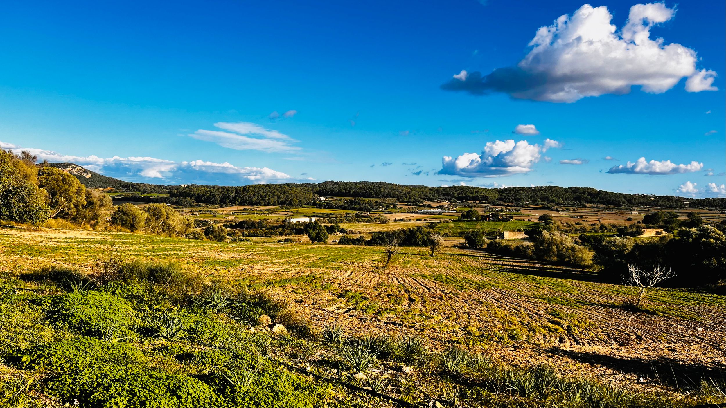 Panoramic view of rolling green hills and farmland stretching across a rural landscape under a bright blue sky.