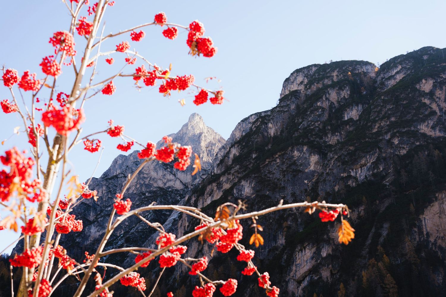 Wedding photographer in Lake Como